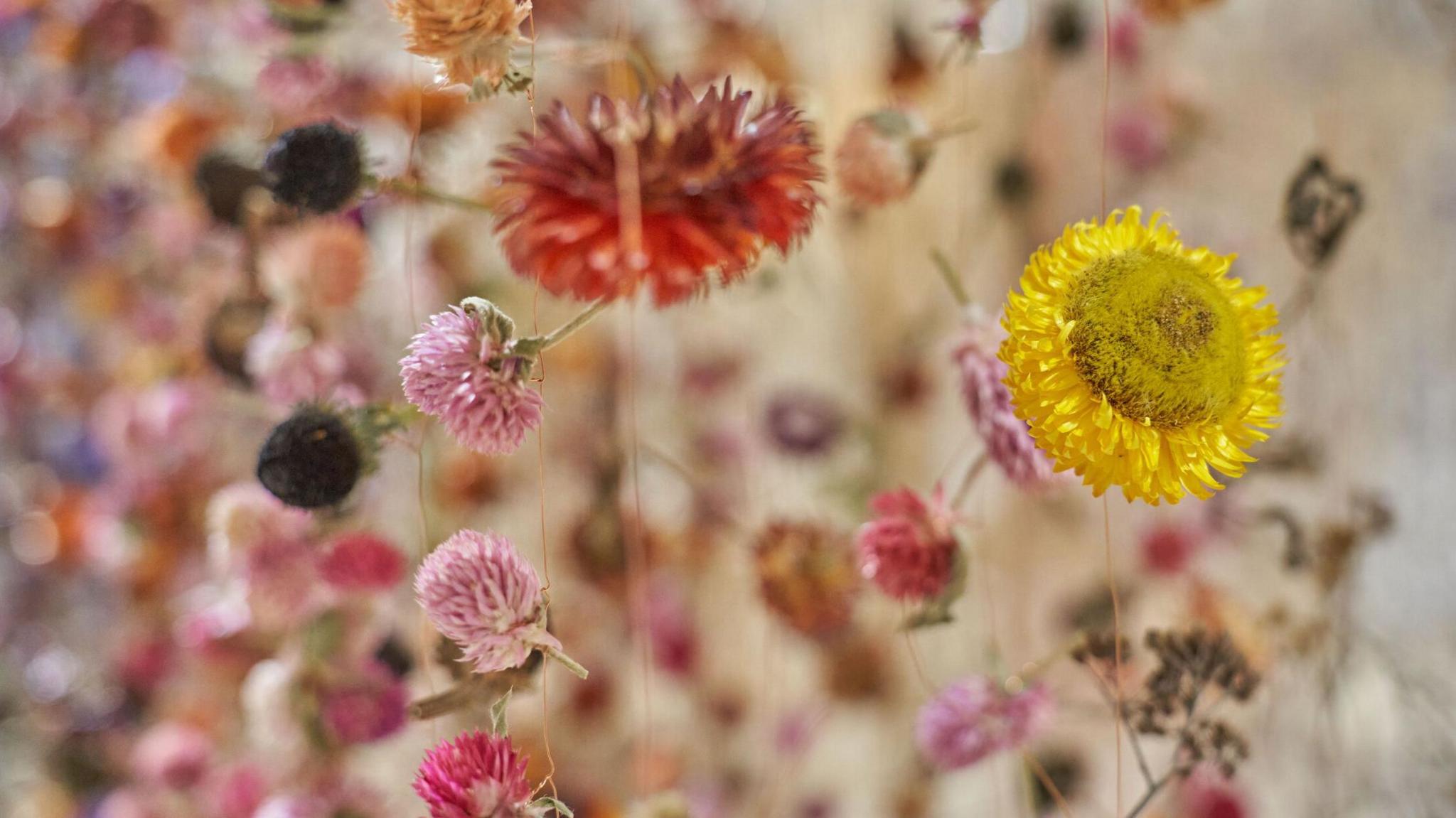 A close up photograph of strings of yellow, red and pink flowers hanging from the ceiling.