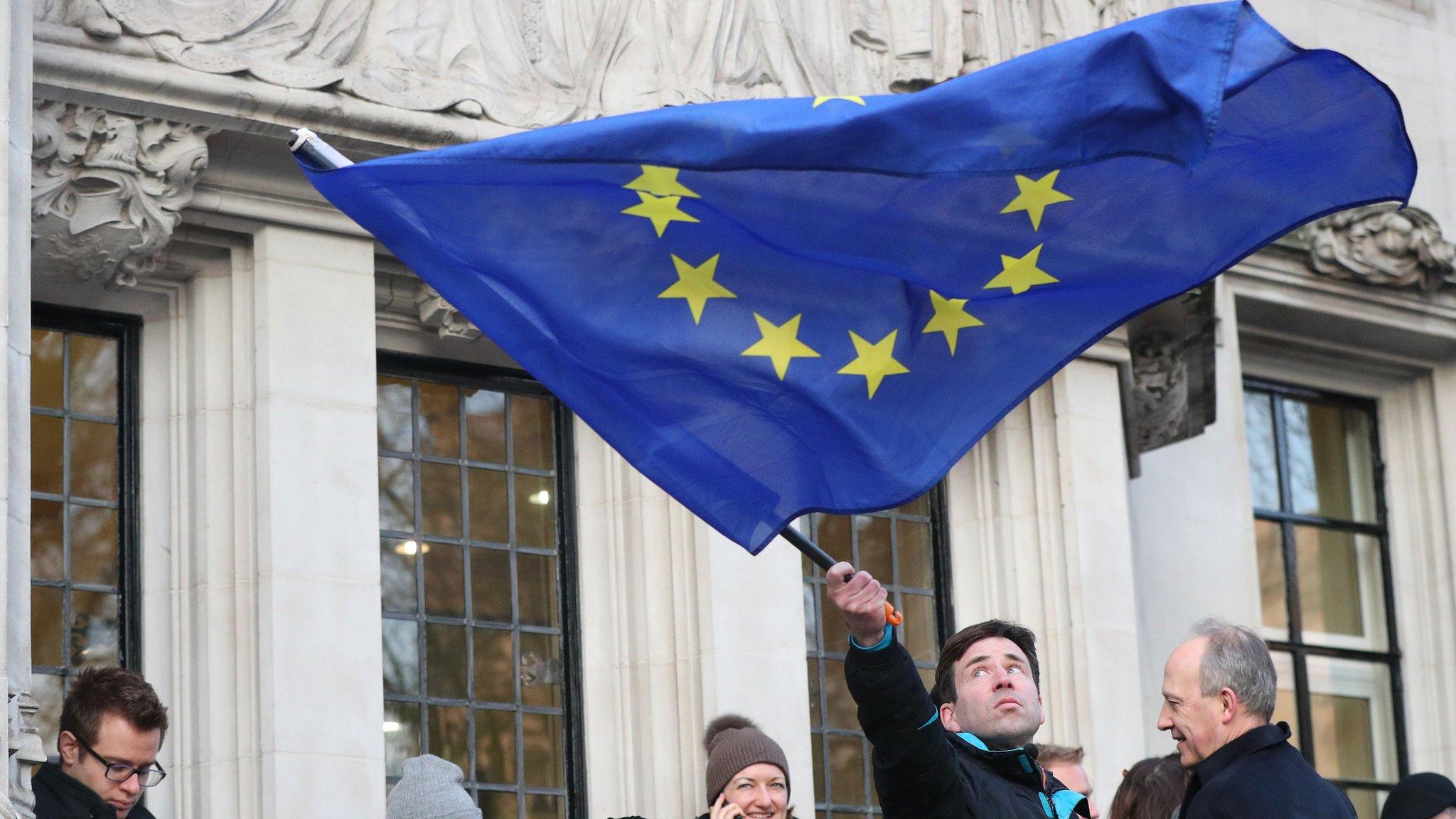 Pro-EU demonstrator outside the Supreme Court on 24 January 2017