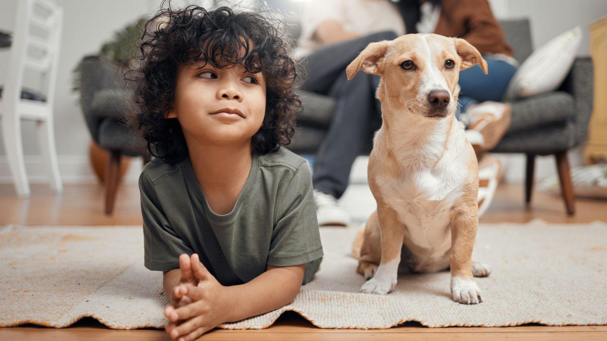 A boy with brown curly hair looks at his small brown dog who faces forward. They are both led down in a living room.