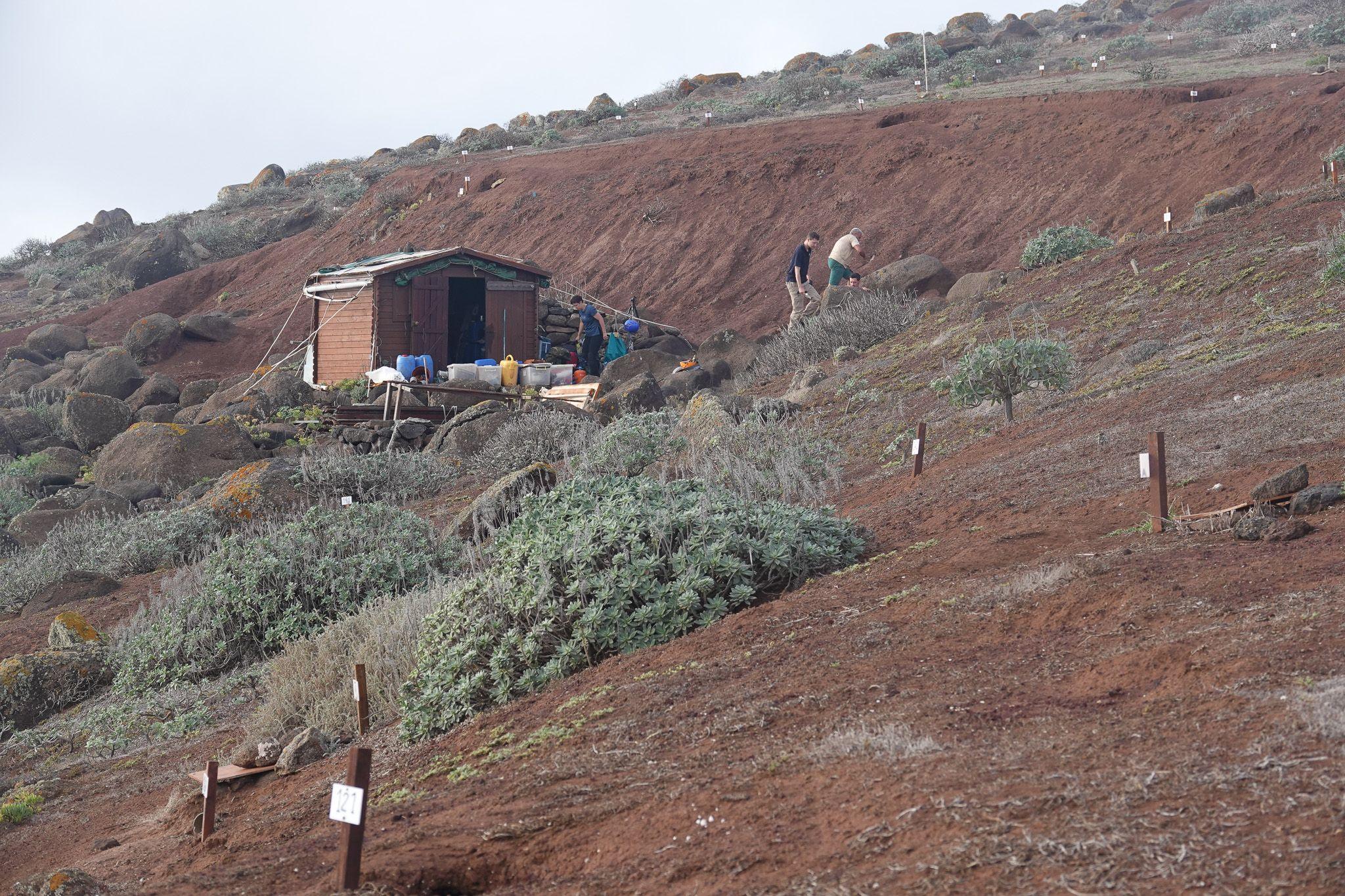 Members of the conservation team on Bugio Island ahead of the release of the snails  