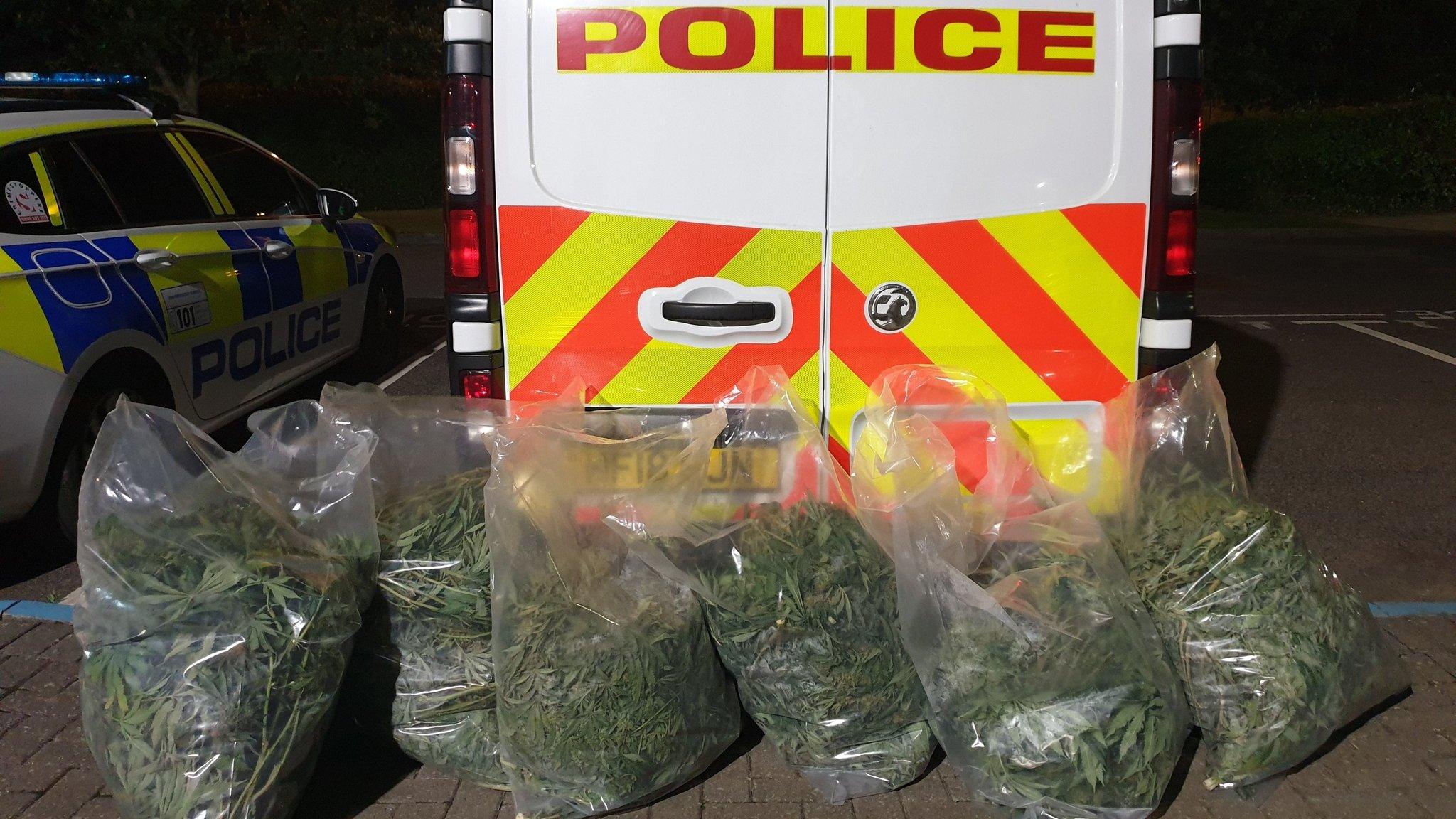 six bags of cannabis plants stood outside a police van