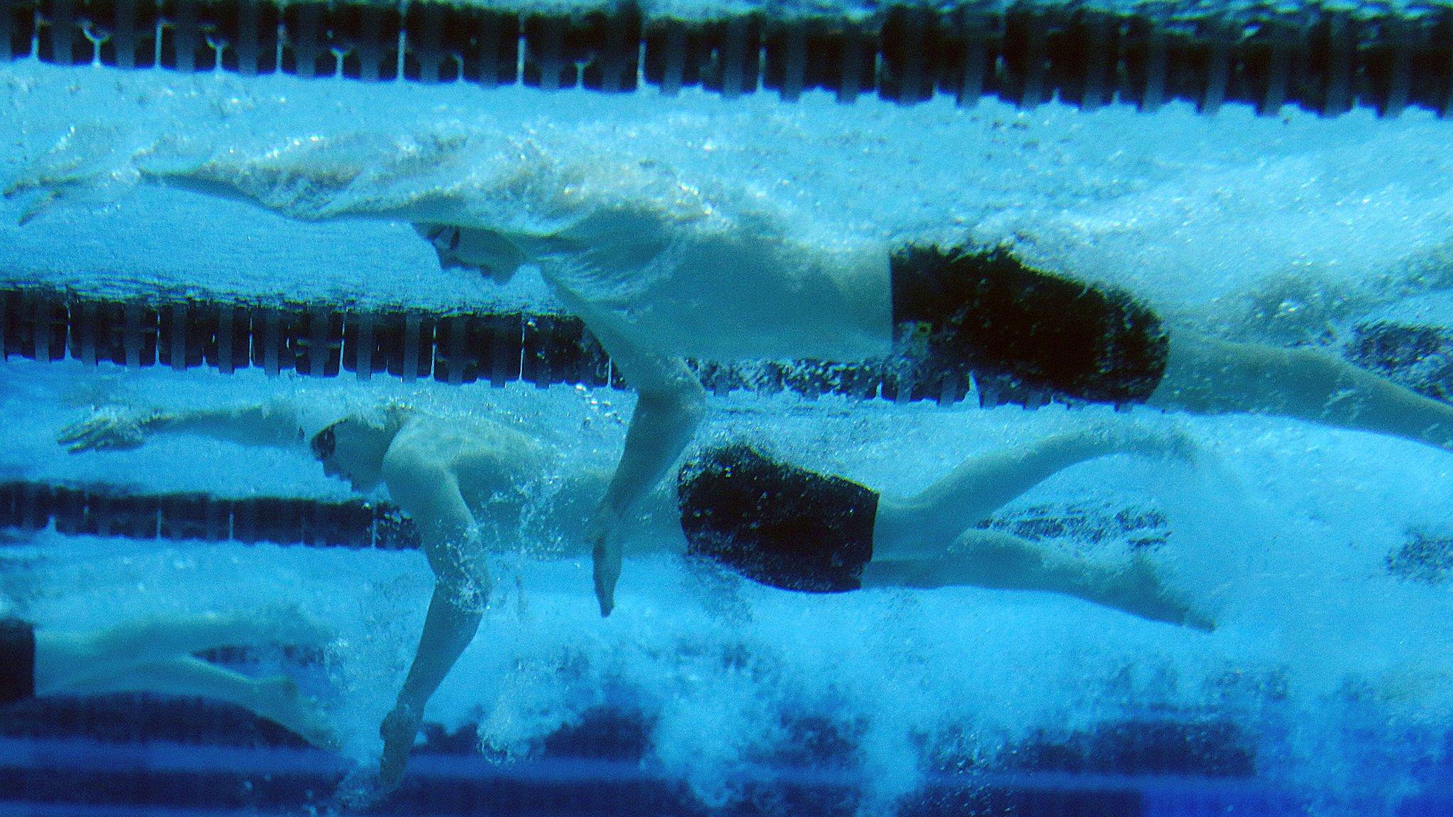 Swimmers