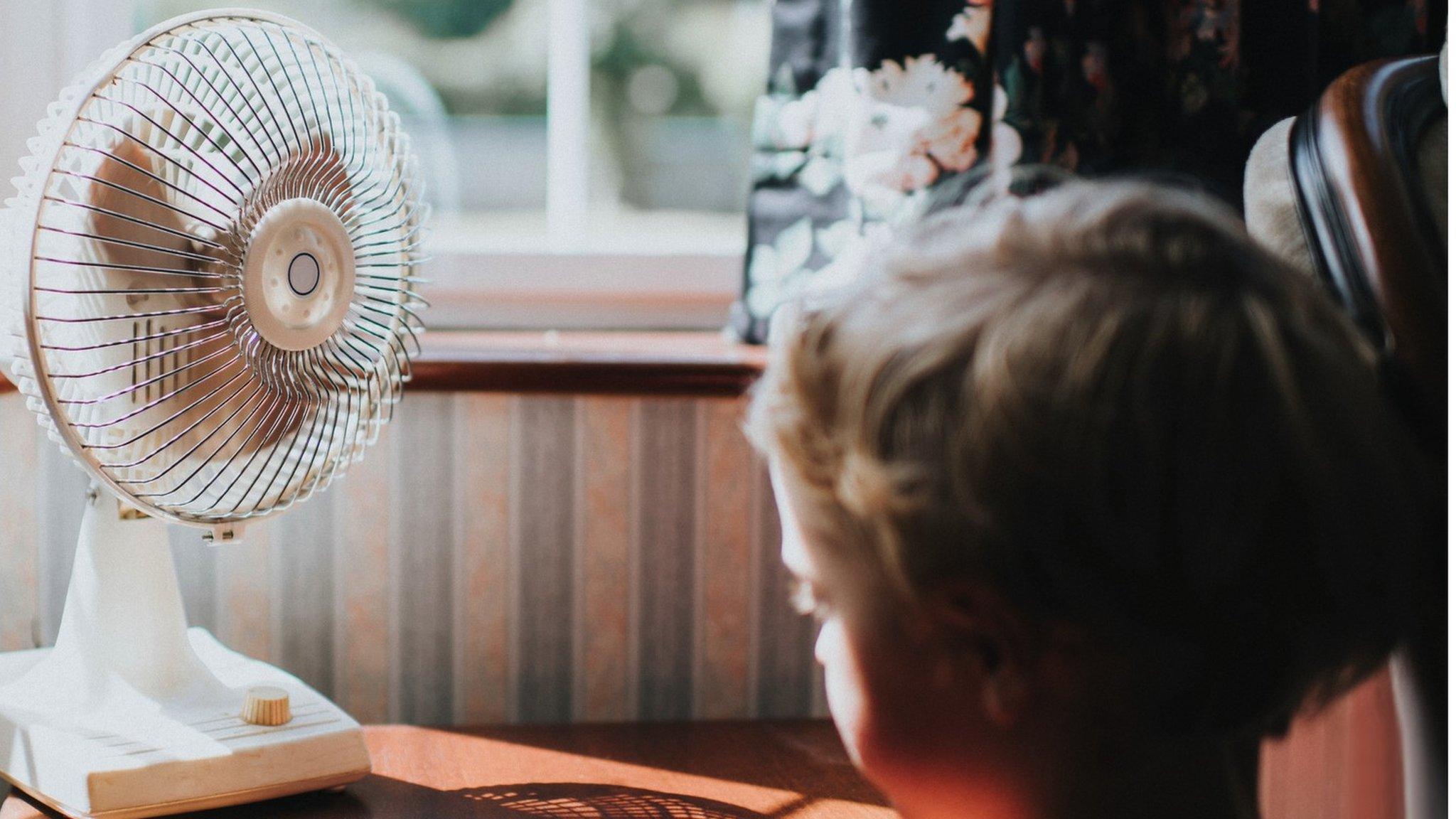 boy leaning into fan