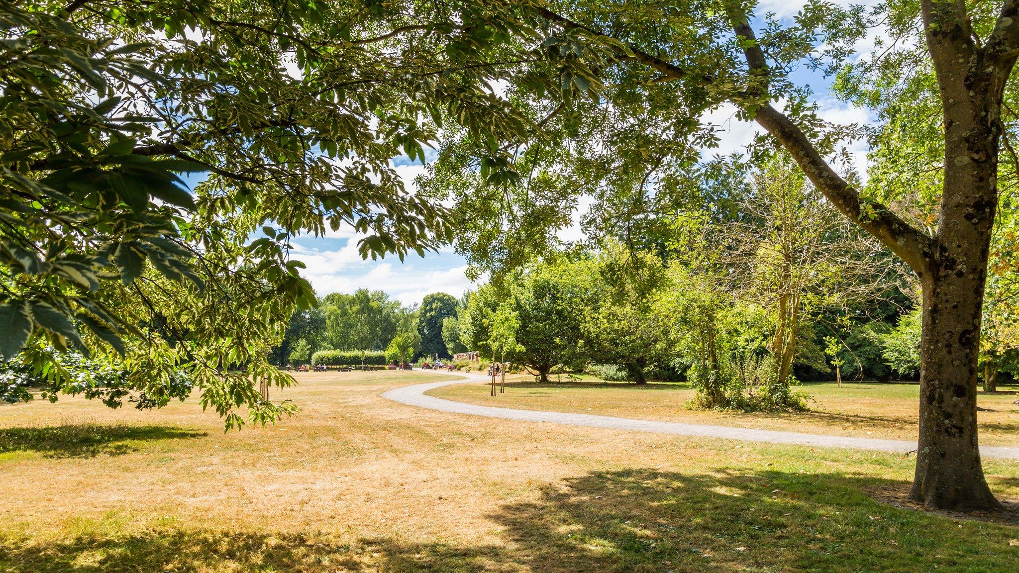 Bute Park