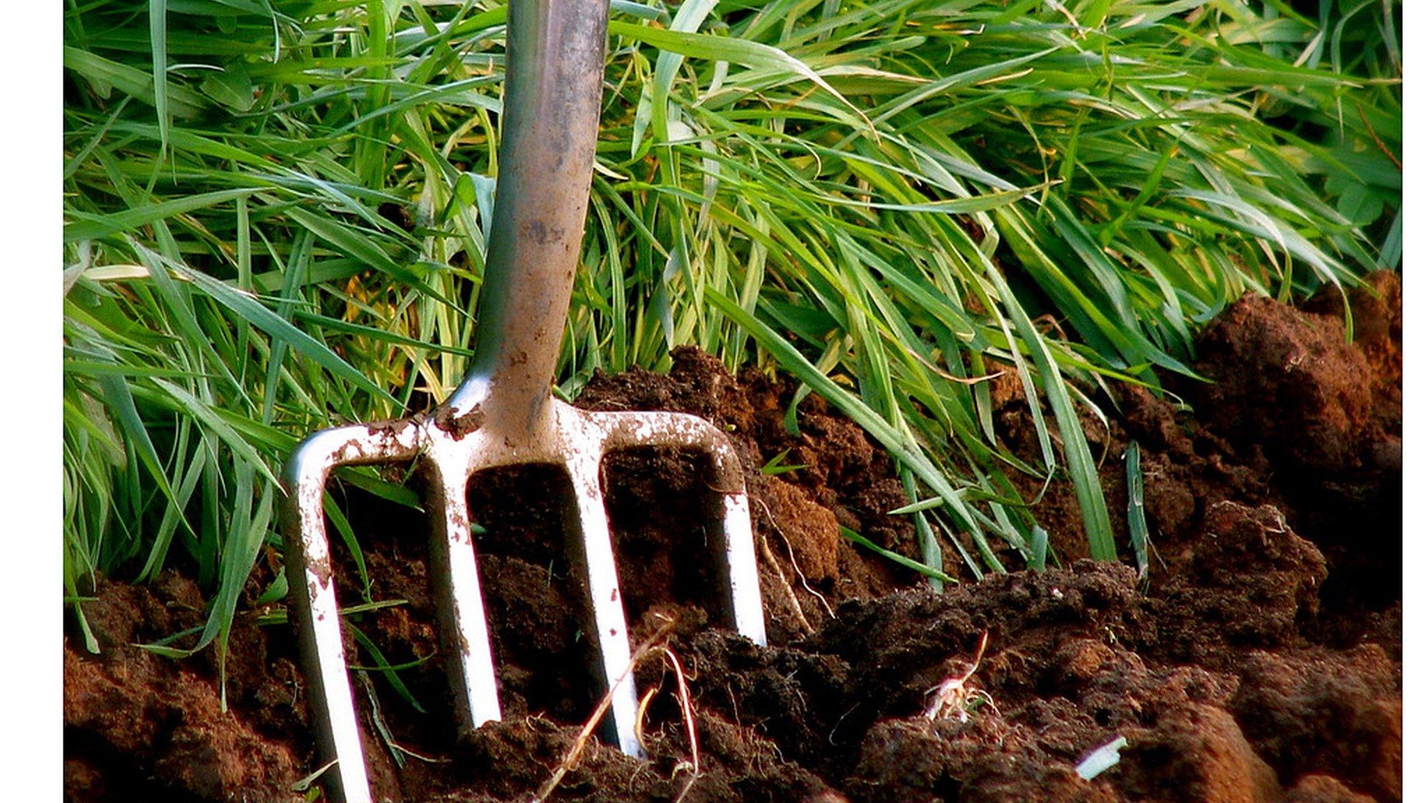 Garden fork (Image: Richard Thomas/Flickr)