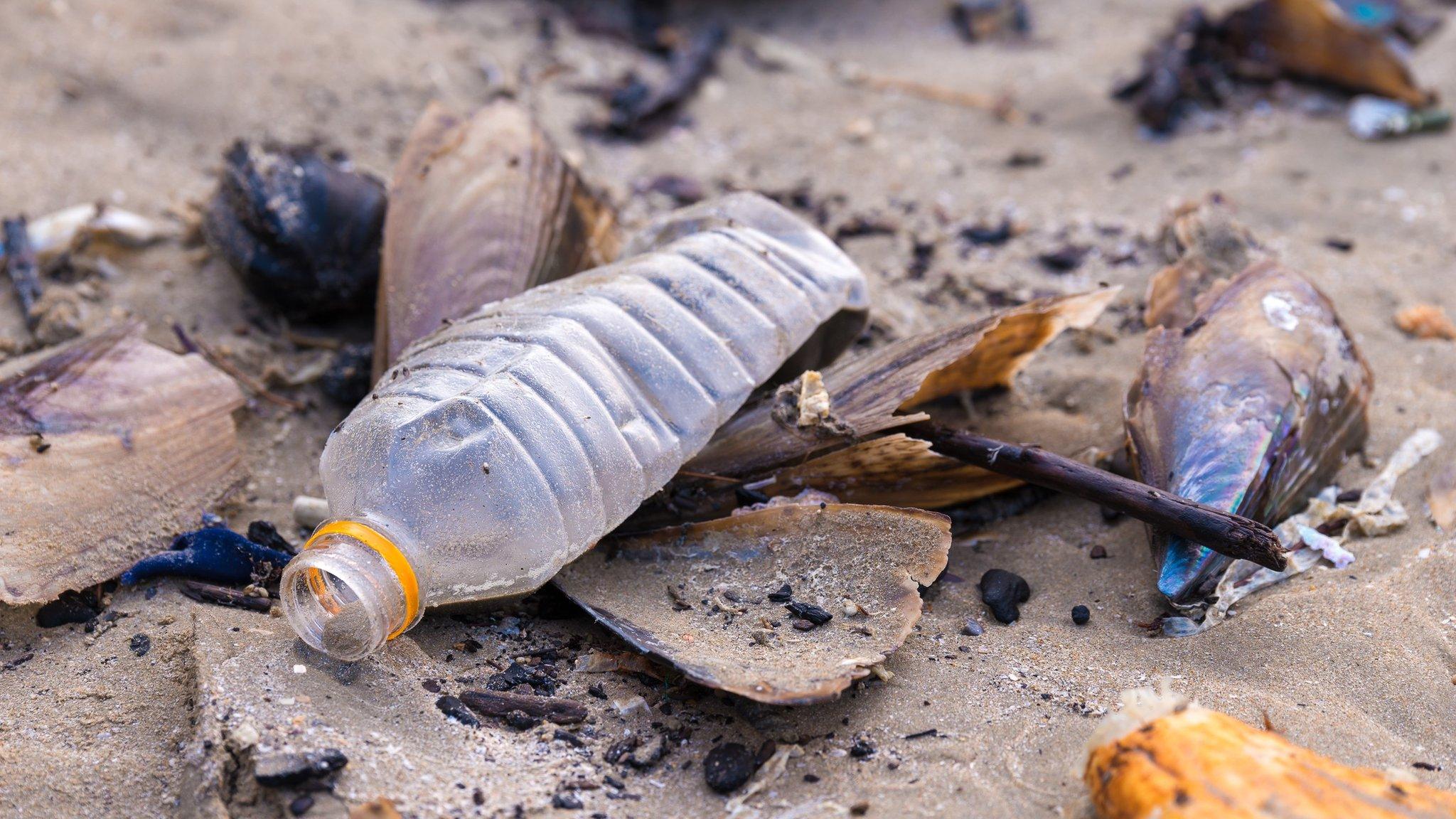 Plastic bottle on a beach