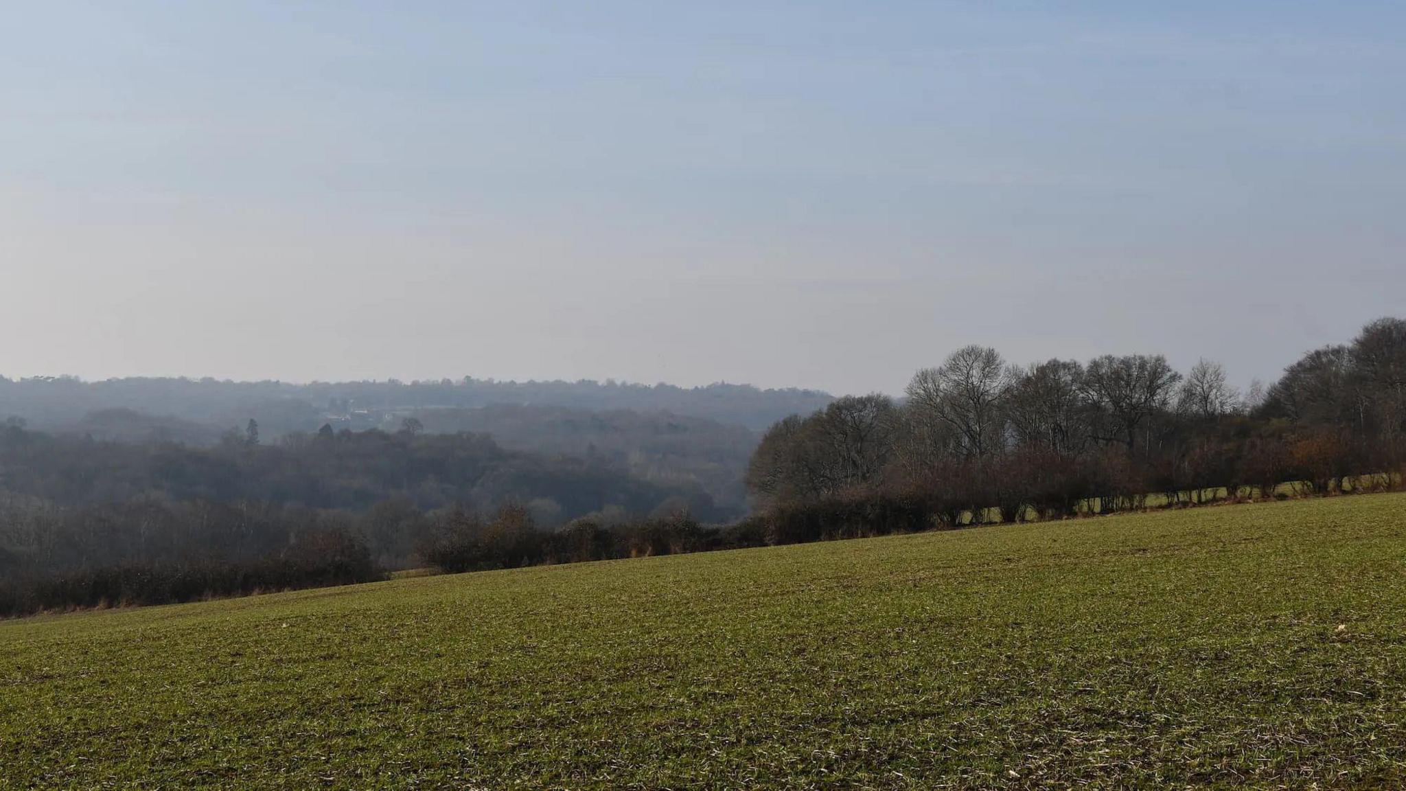 A landscape shot of a hill with trees in the background and more forest land in the background