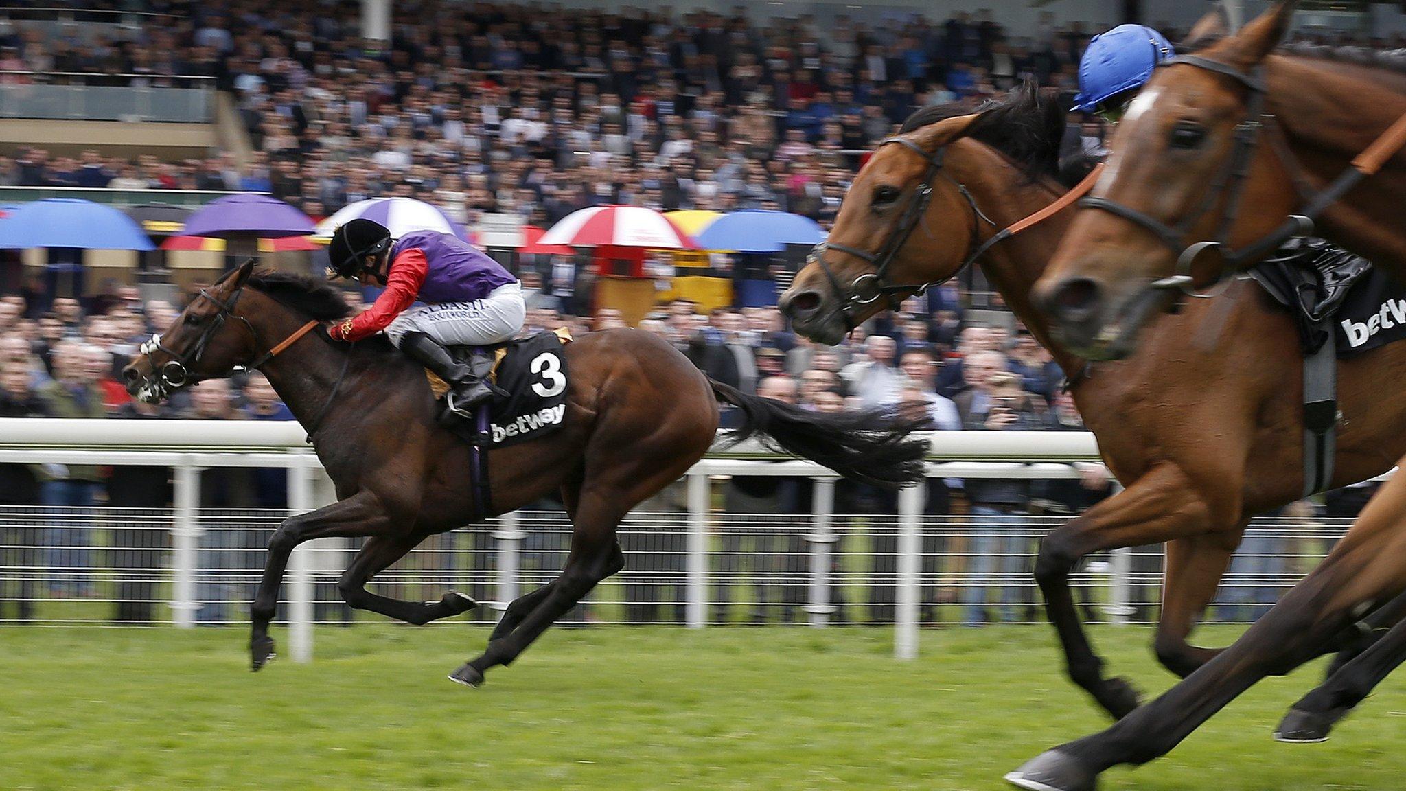 Dartmouth (left) wins the Yorkshire Cup