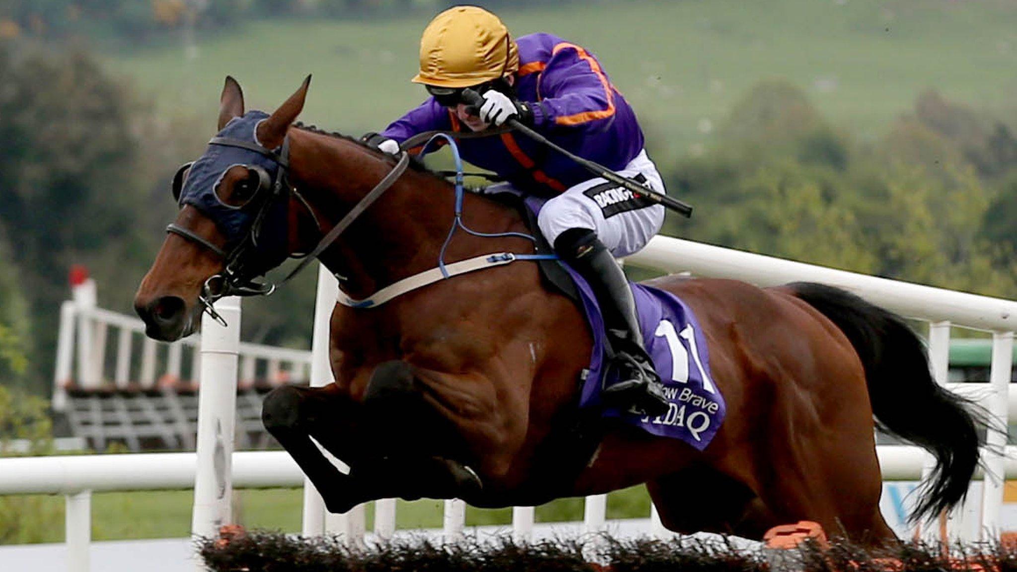 Wicklow Brave jumps the last on the way to winning the Punchestown Champion Hurdle