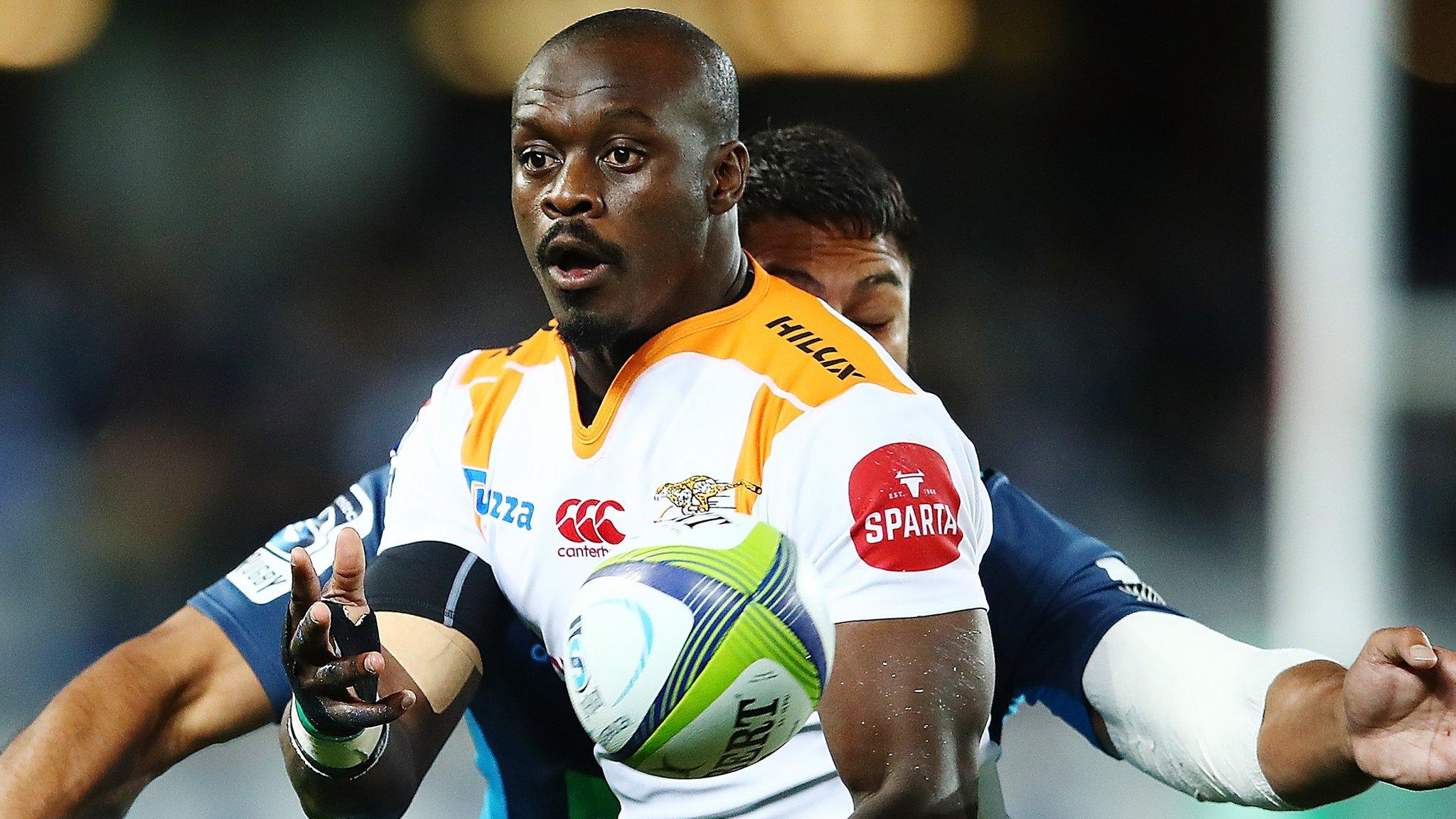 Pro 12: Southern Kings and Cheetahs to join