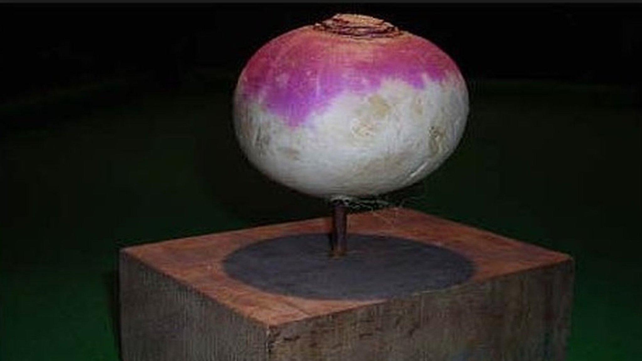 The Turnip Prize