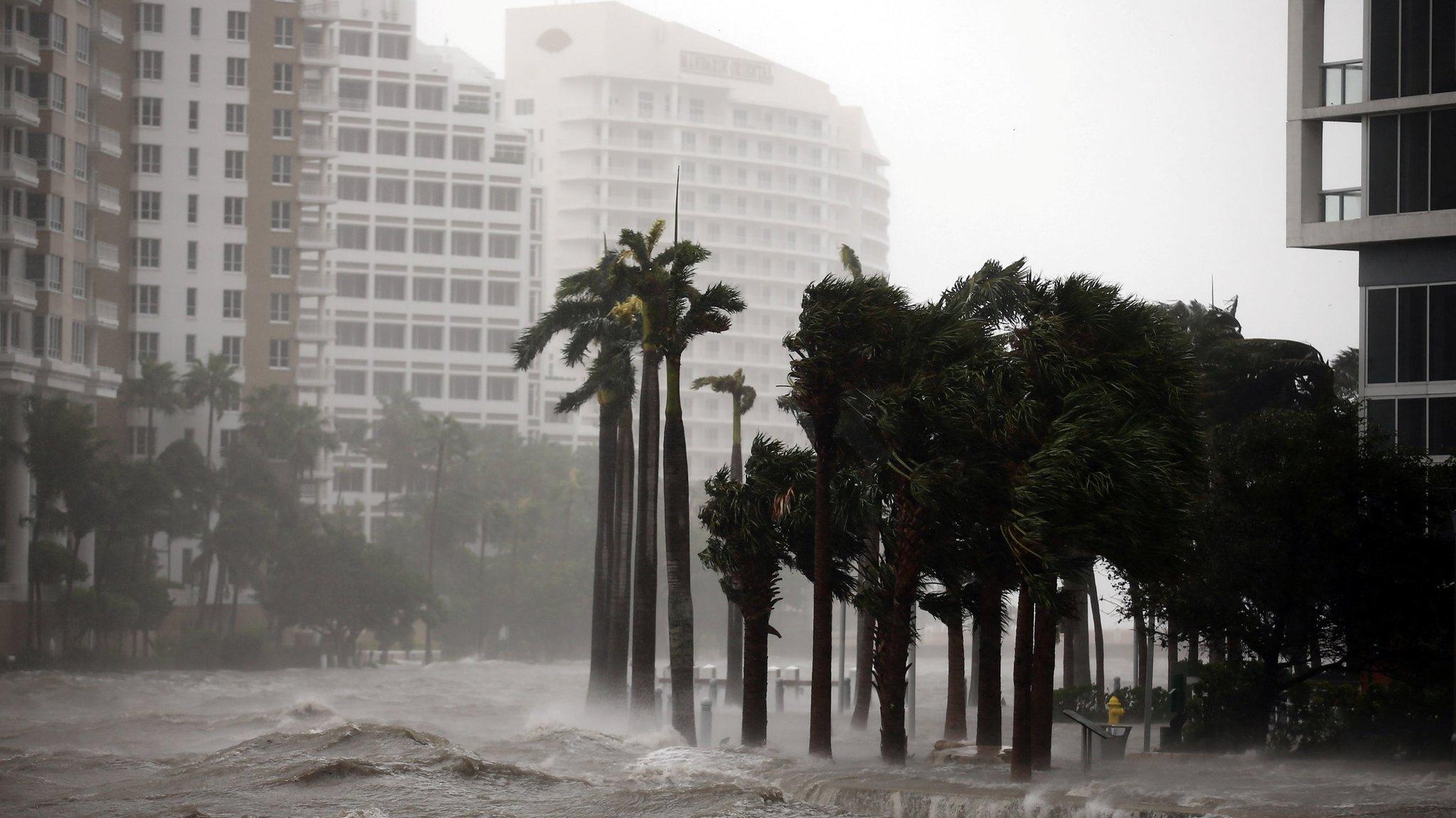 Miami river floods in downtown Miami