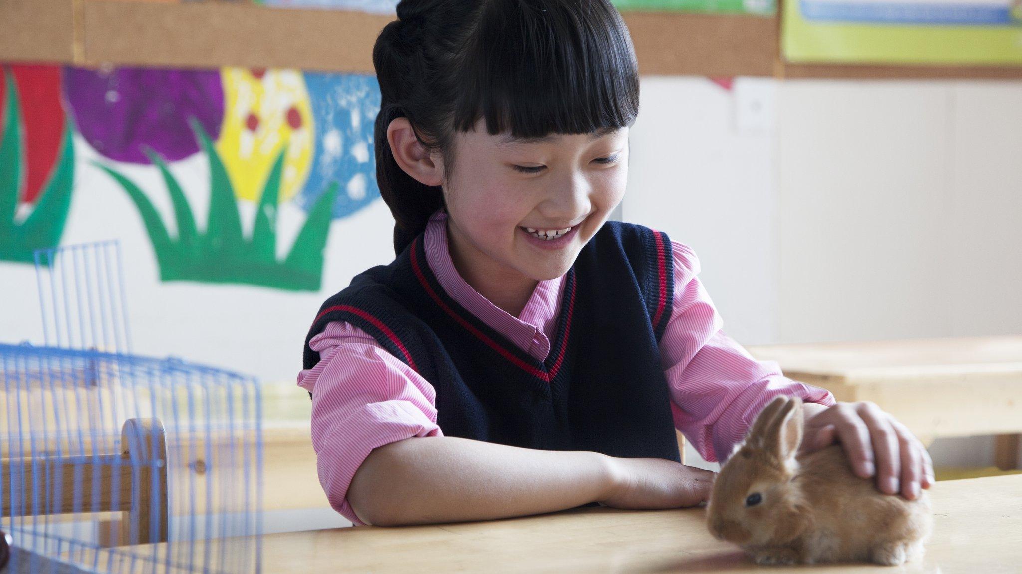 girl pets a rabbit