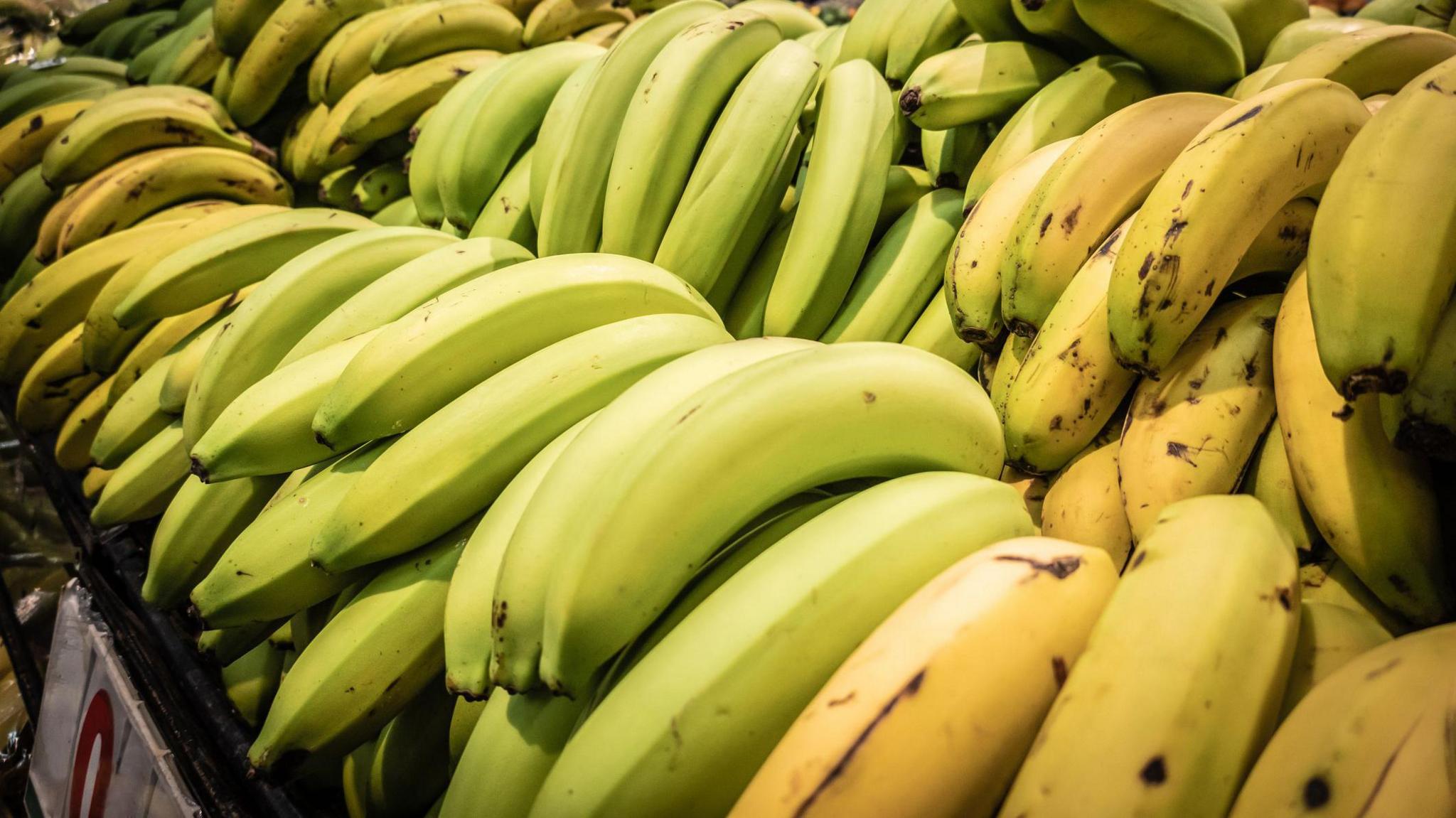 Loads of bananas on a shelf