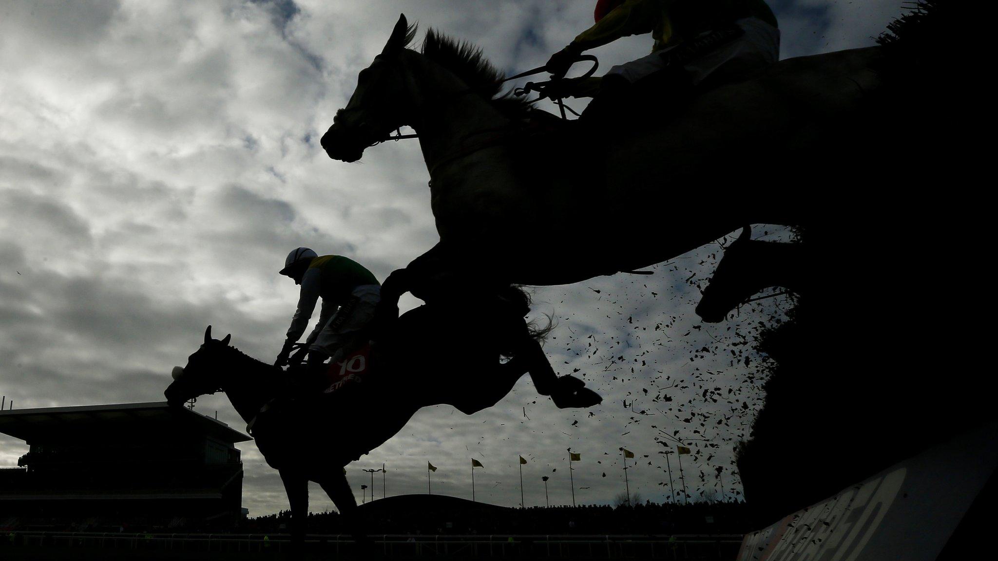 Horses at the Grand National meeting