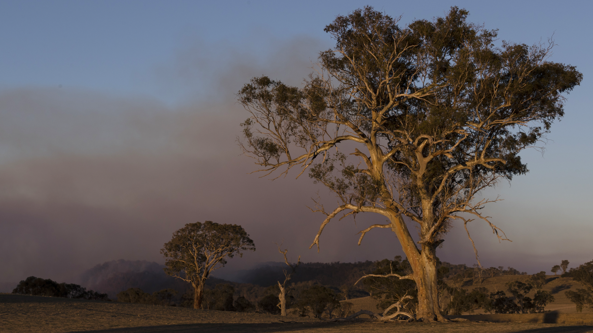 australia-record-temperature.