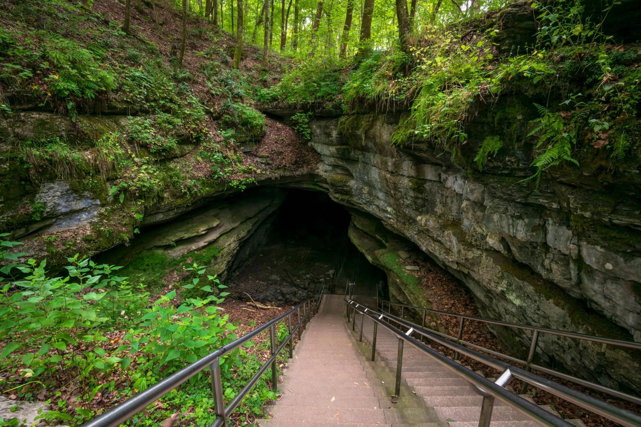 steps leading down to a cave covered in grass, trees and mosses
