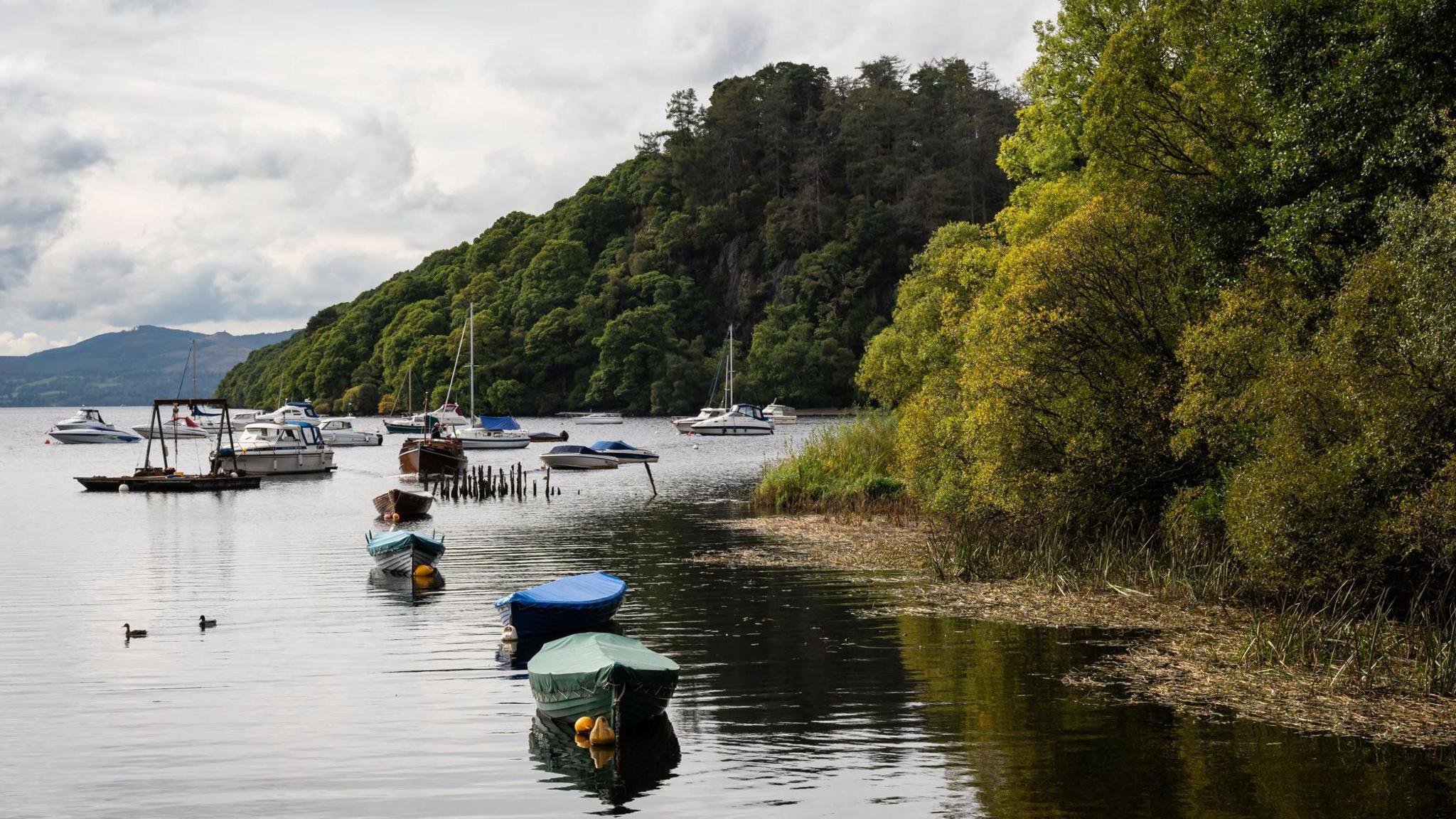 A tree-lined shore on Loch Lomond with boats on the loch.