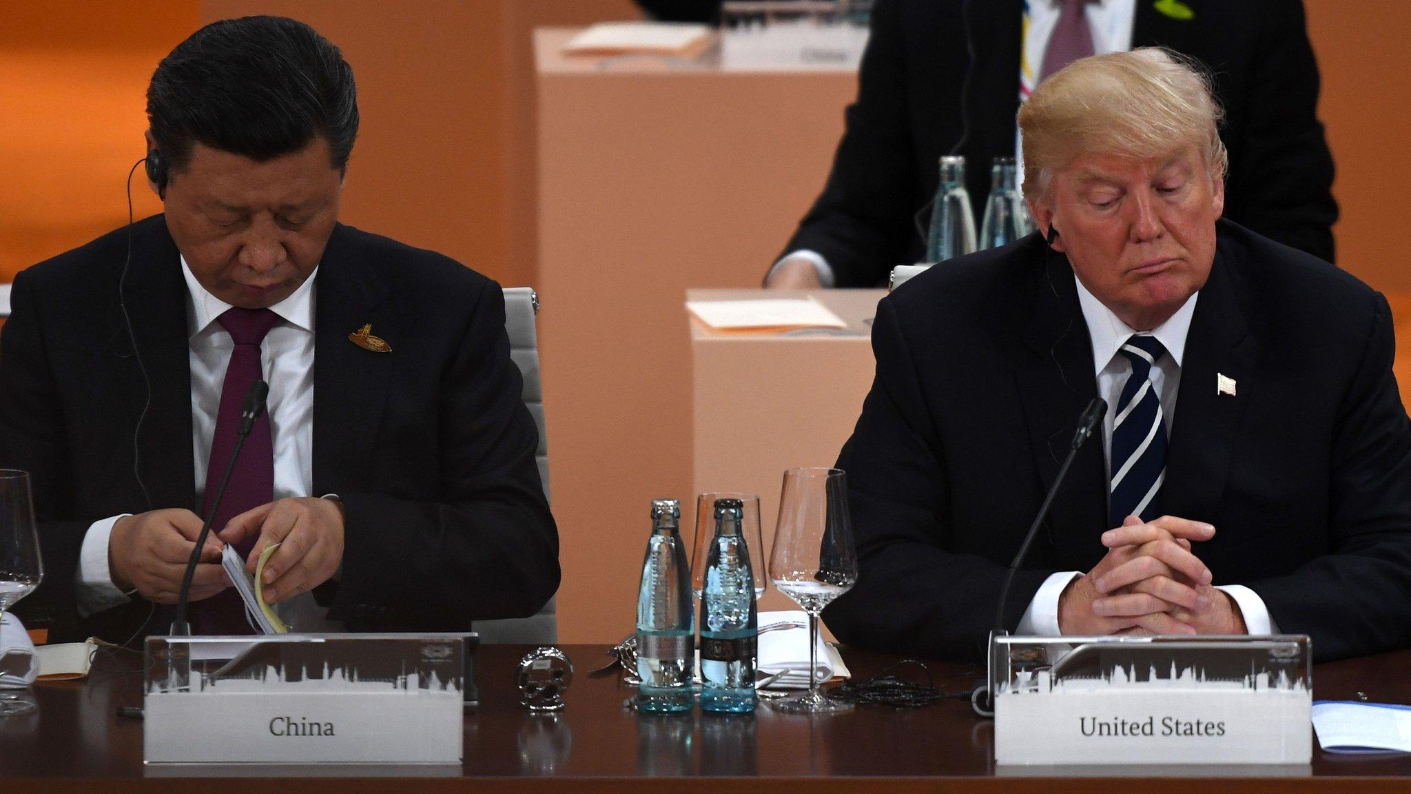 China's President Xi Jinping (L) and US President Donald Trump attend a working session on the first day of the G20 summit in Hamburg, northern Germany, on July 7, 2017