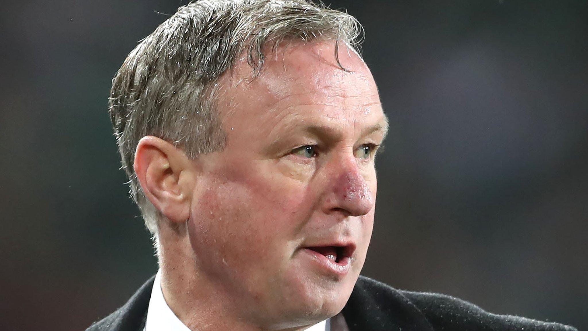 Northern Ireland manager Michael O'Neill