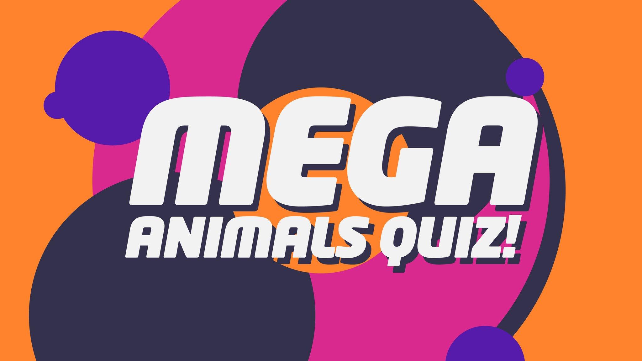 animals quiz gfx