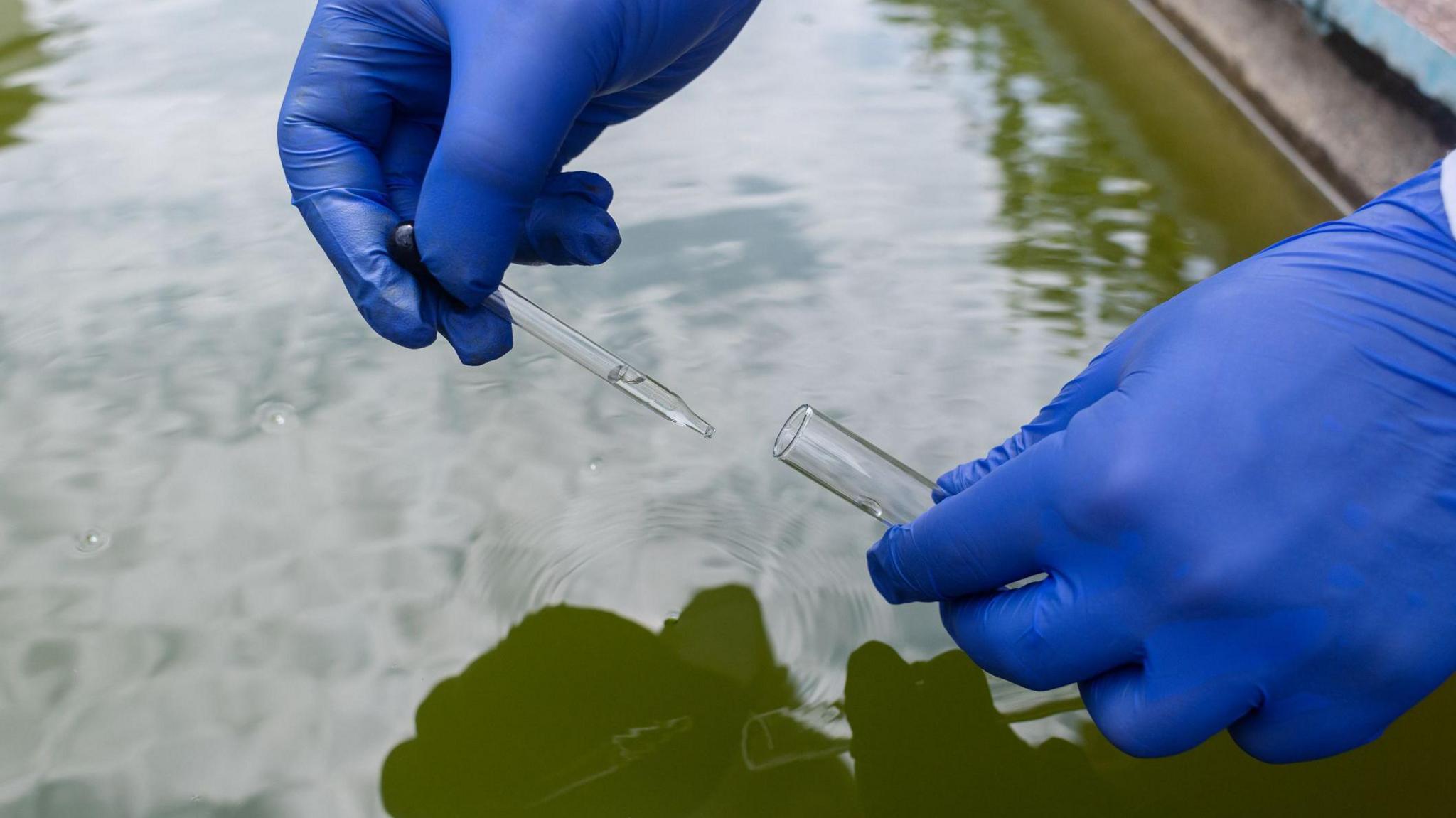 Hands with blue gloves test water using a test tube and pipette