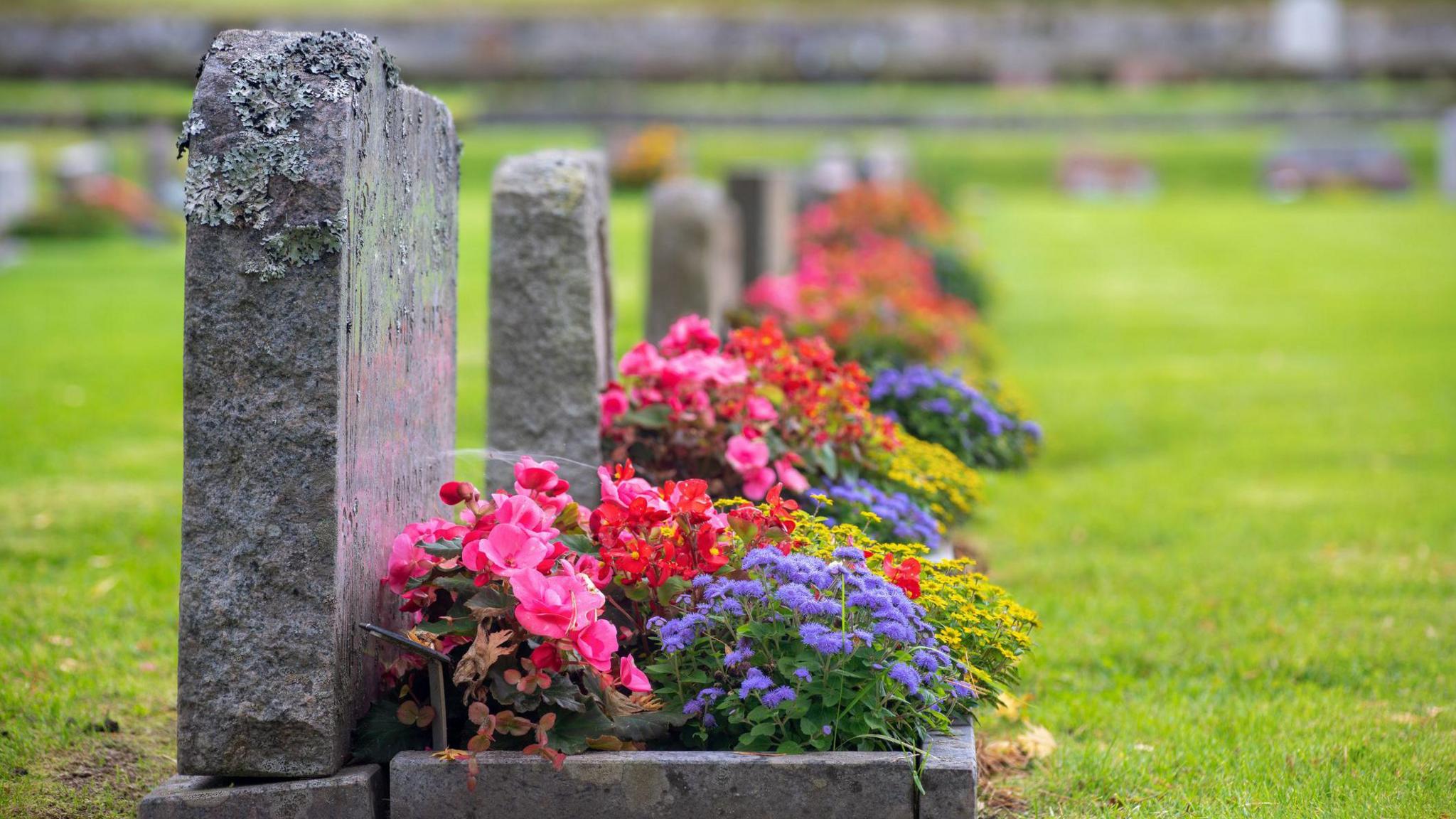 A gravestone with purple, pink and yellow flowers on it.