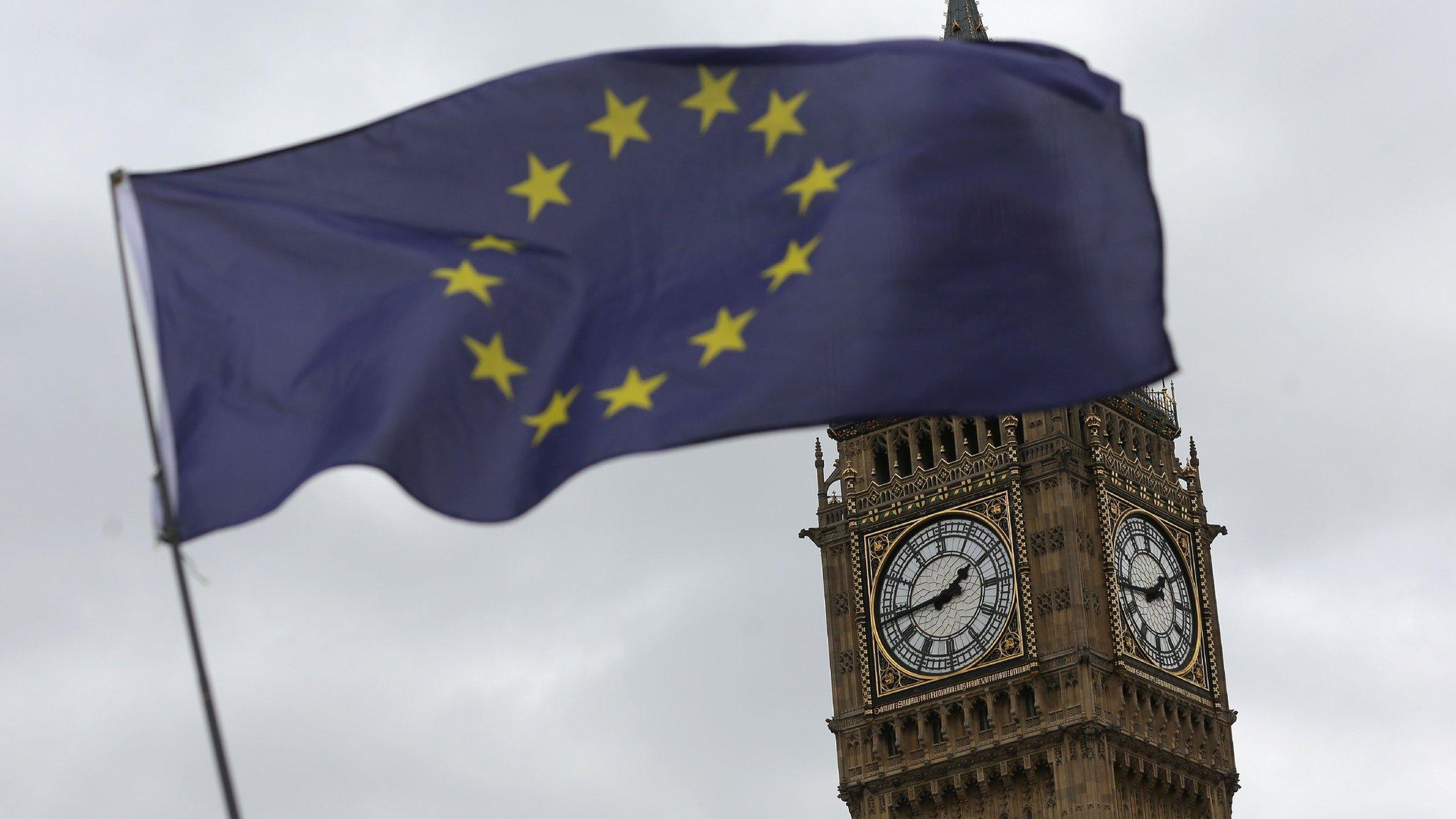 A European Union (EU) flag is held