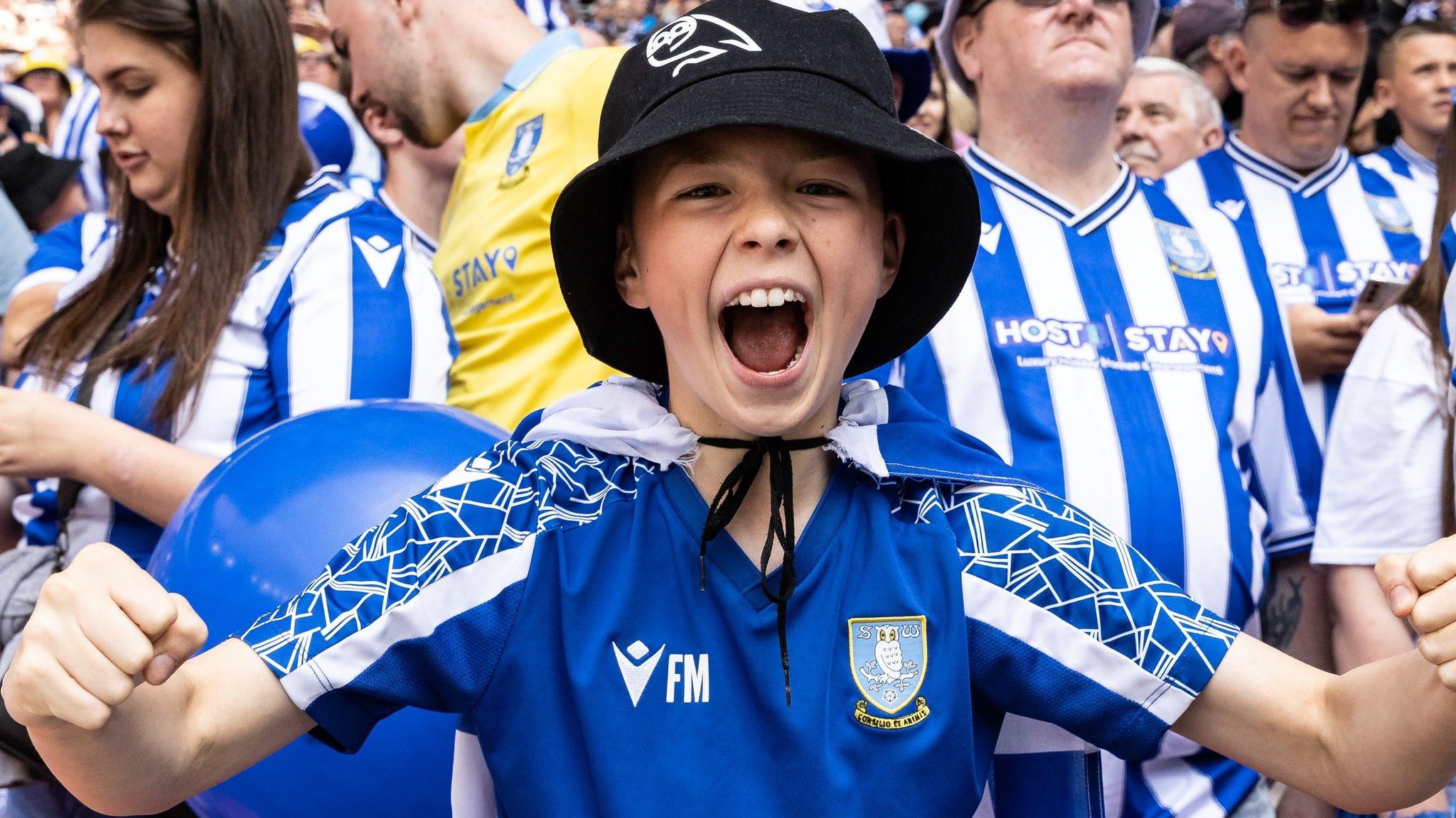 Sheffield Wednesday fan