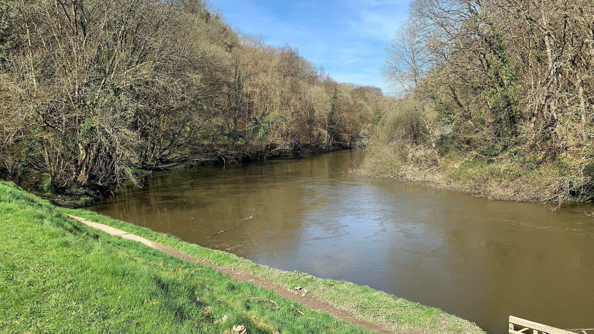 Afon Teifi