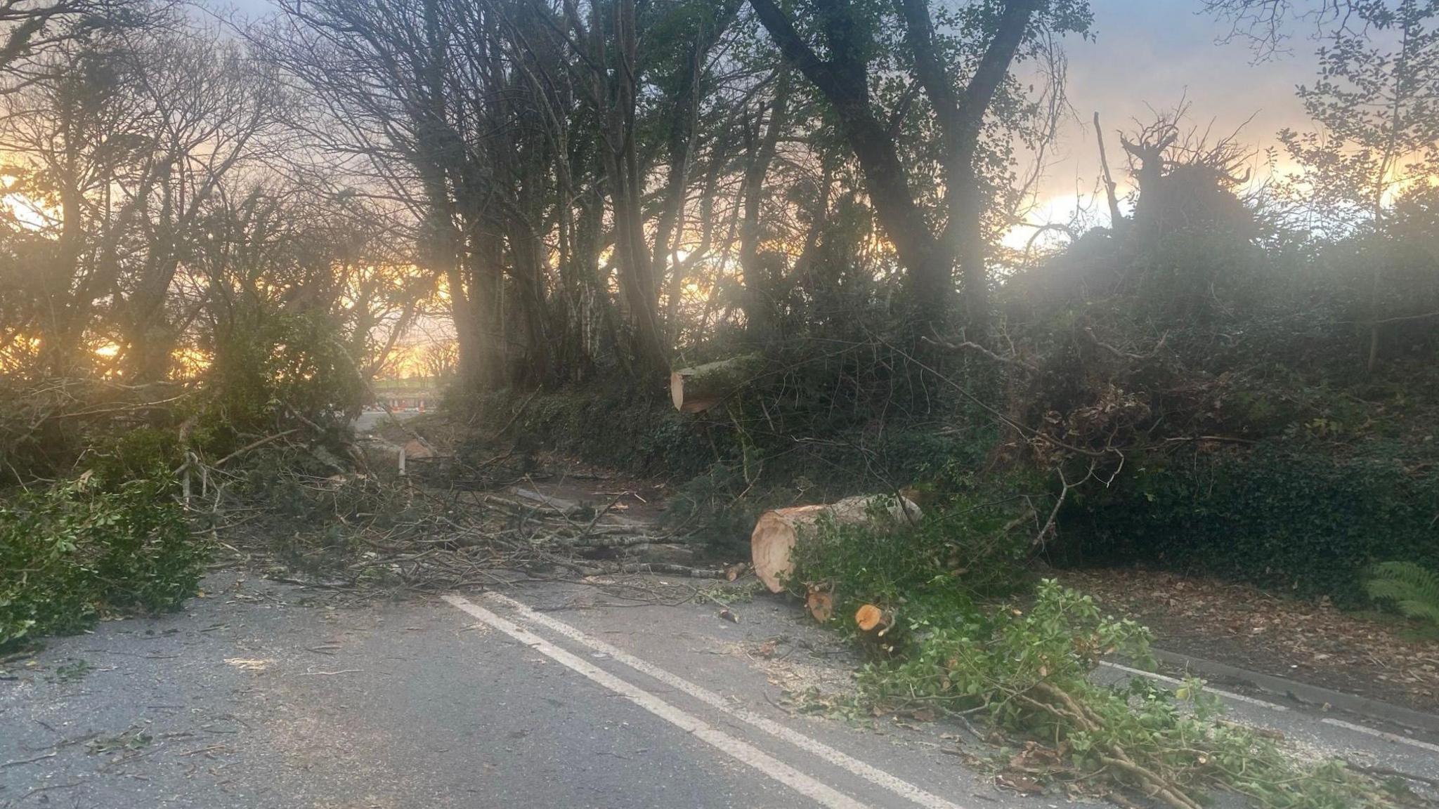 A497 ar gau oherwydd coed ar y ffordd