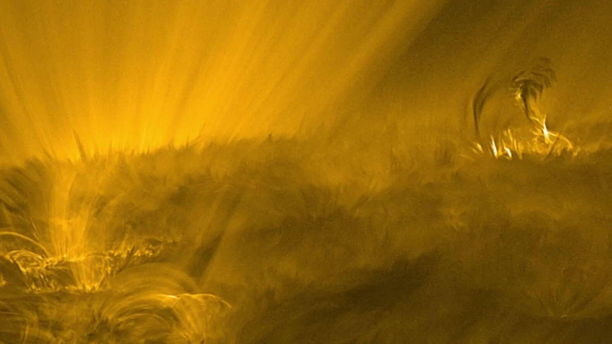 A yellow hued image showing the sun with a mossy, fluffy texture on its surface