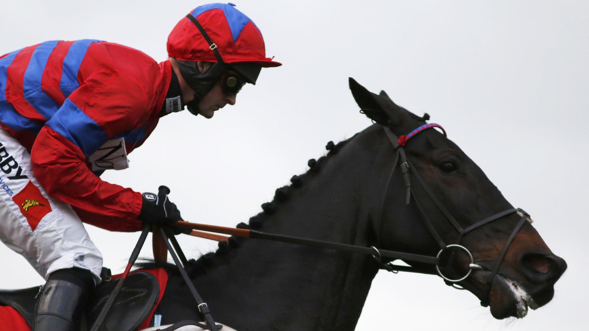 Sprinter Sacre