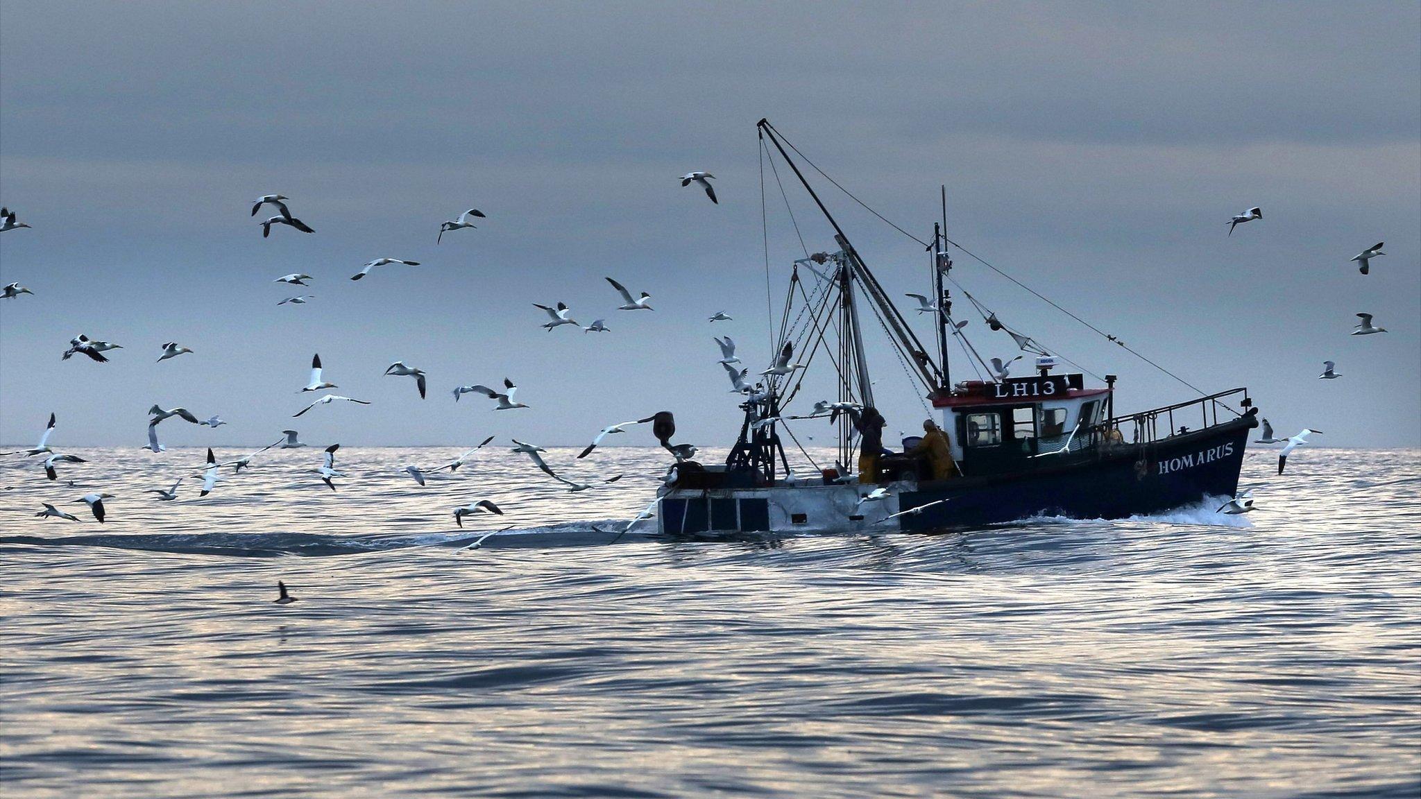 Fishing boat in European waters