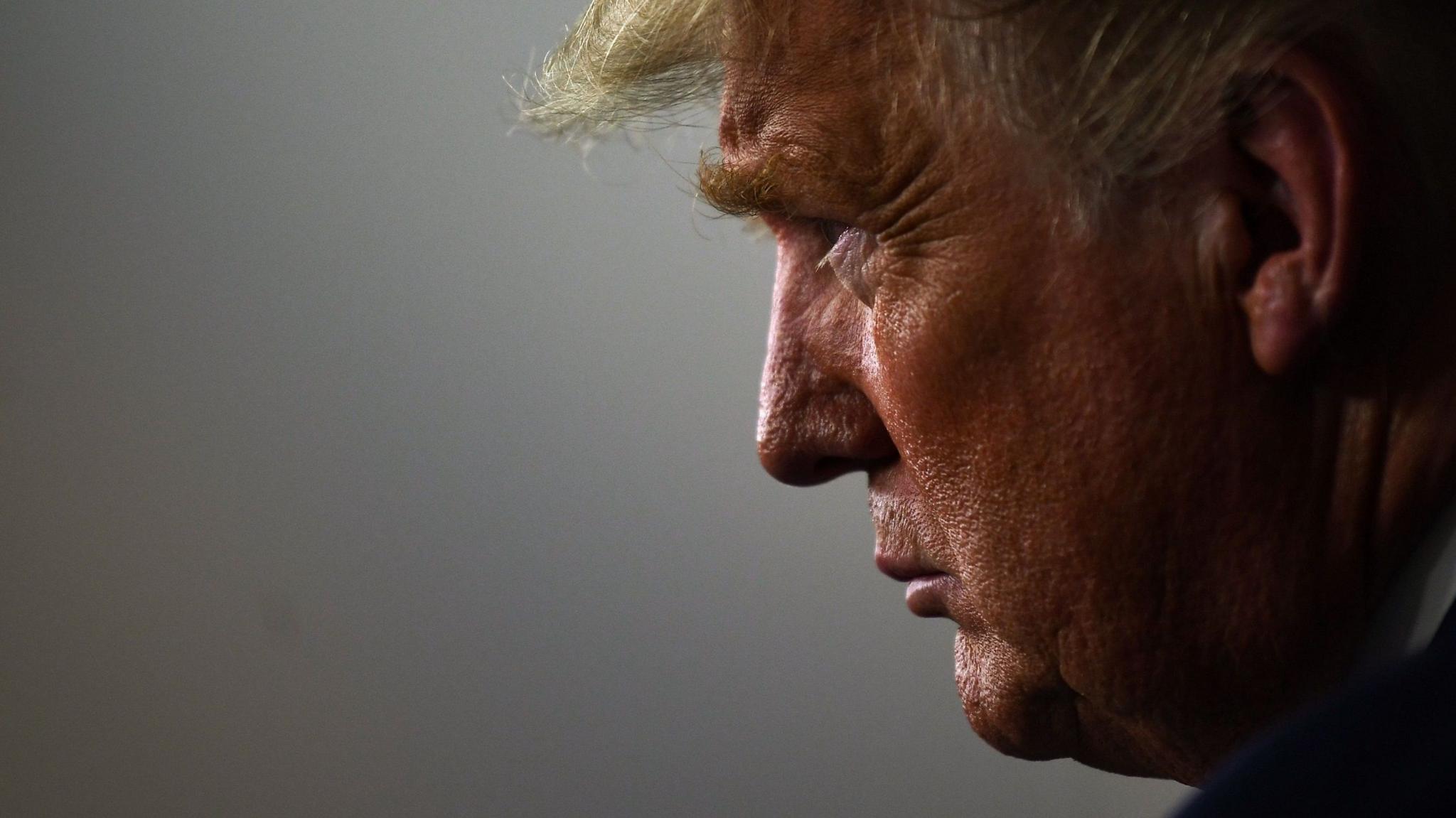 Image shows side profile of Donald Trump