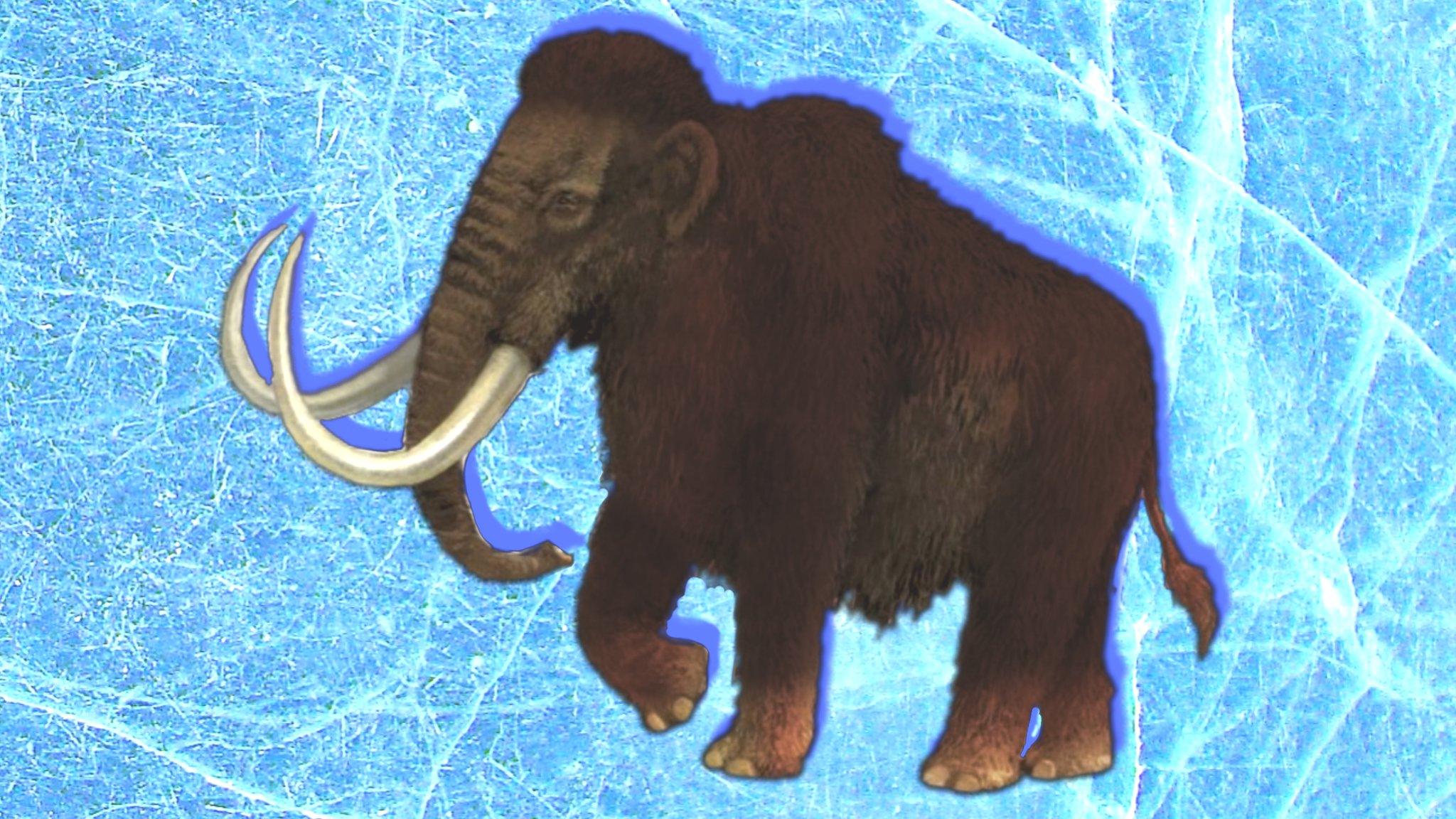 Woolly mammoth.