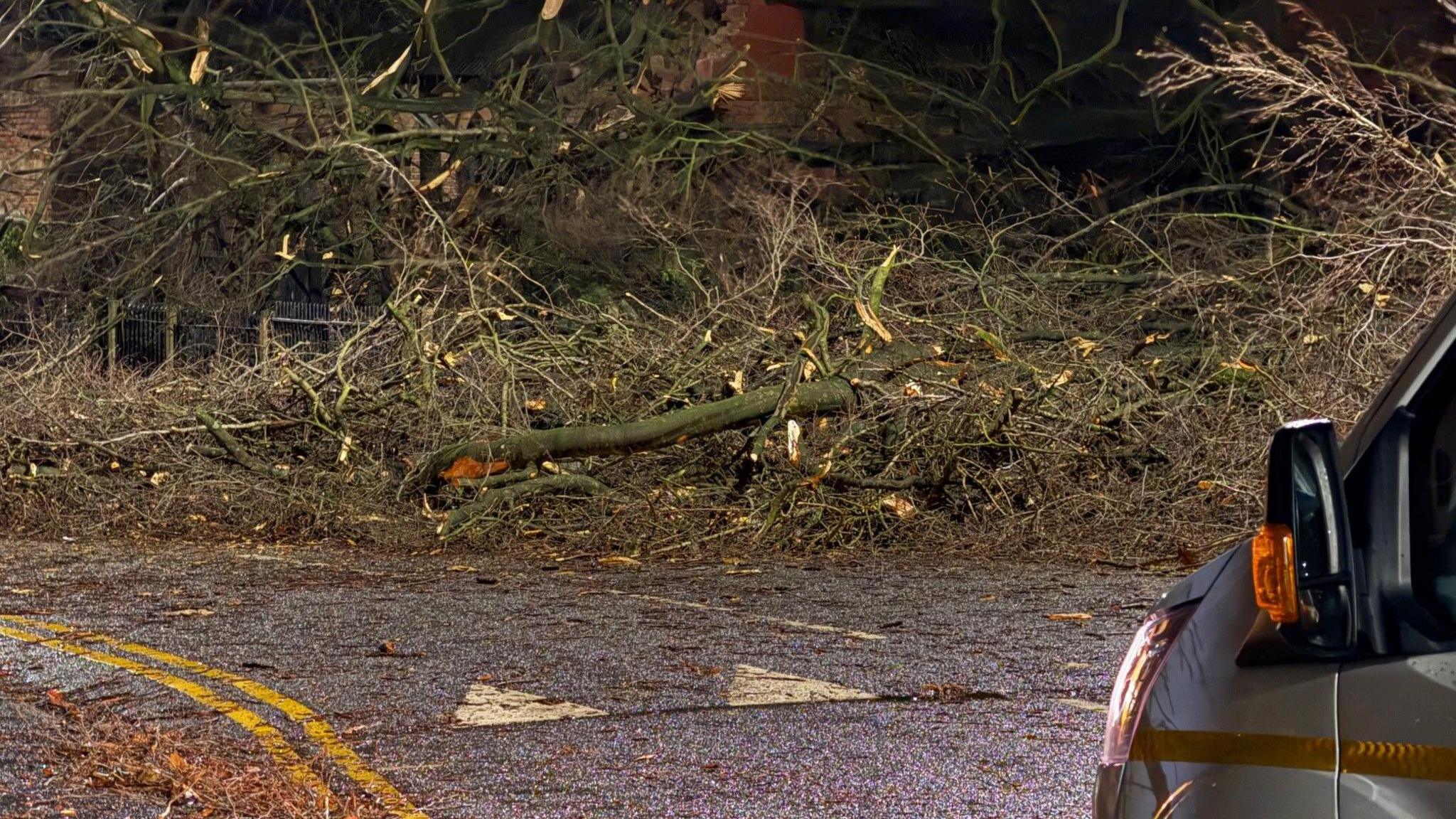 Debris from fallen trees can be seen strewn across a road, with the wing mirror and corner of a van visible in the right hand side of the image.