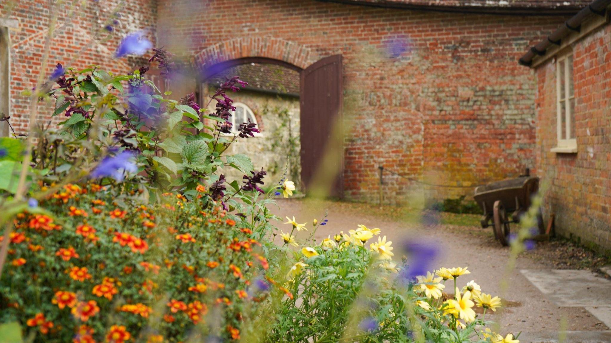 A close-up of a flowerbed, with purple, orange and yellow flowers, in a red brick walled courtyard. 