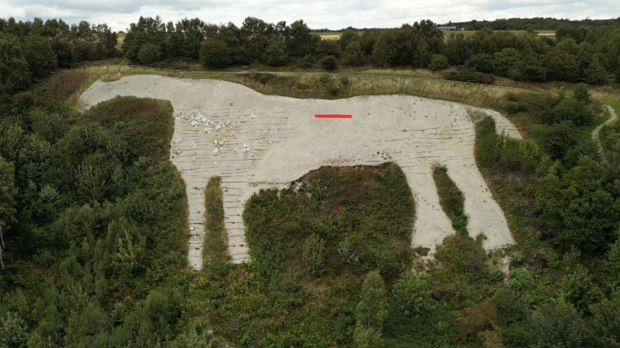A large figure of a white horse carved into a hillside. In the middle of the figure is a small band of red fabric running left to right 