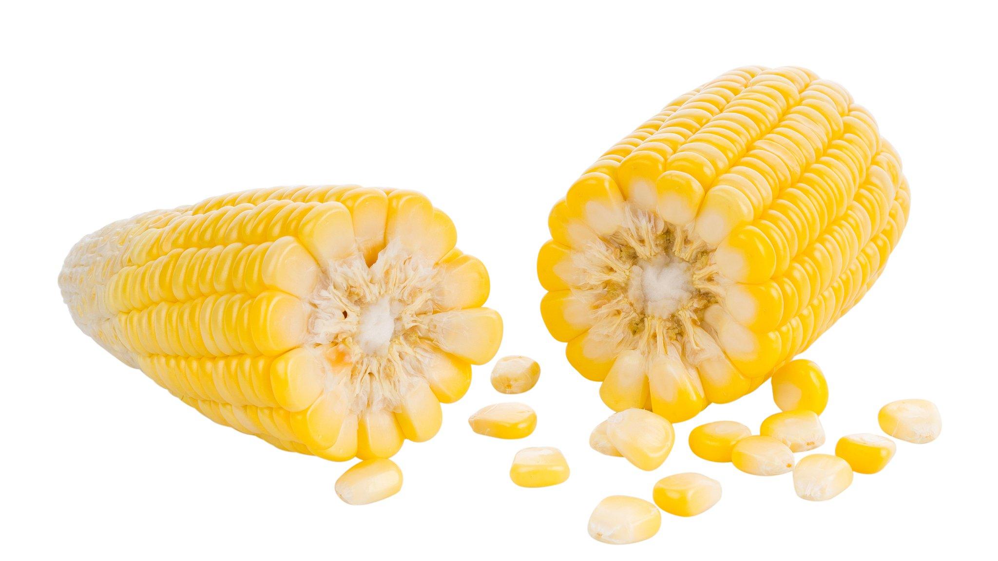 Maize