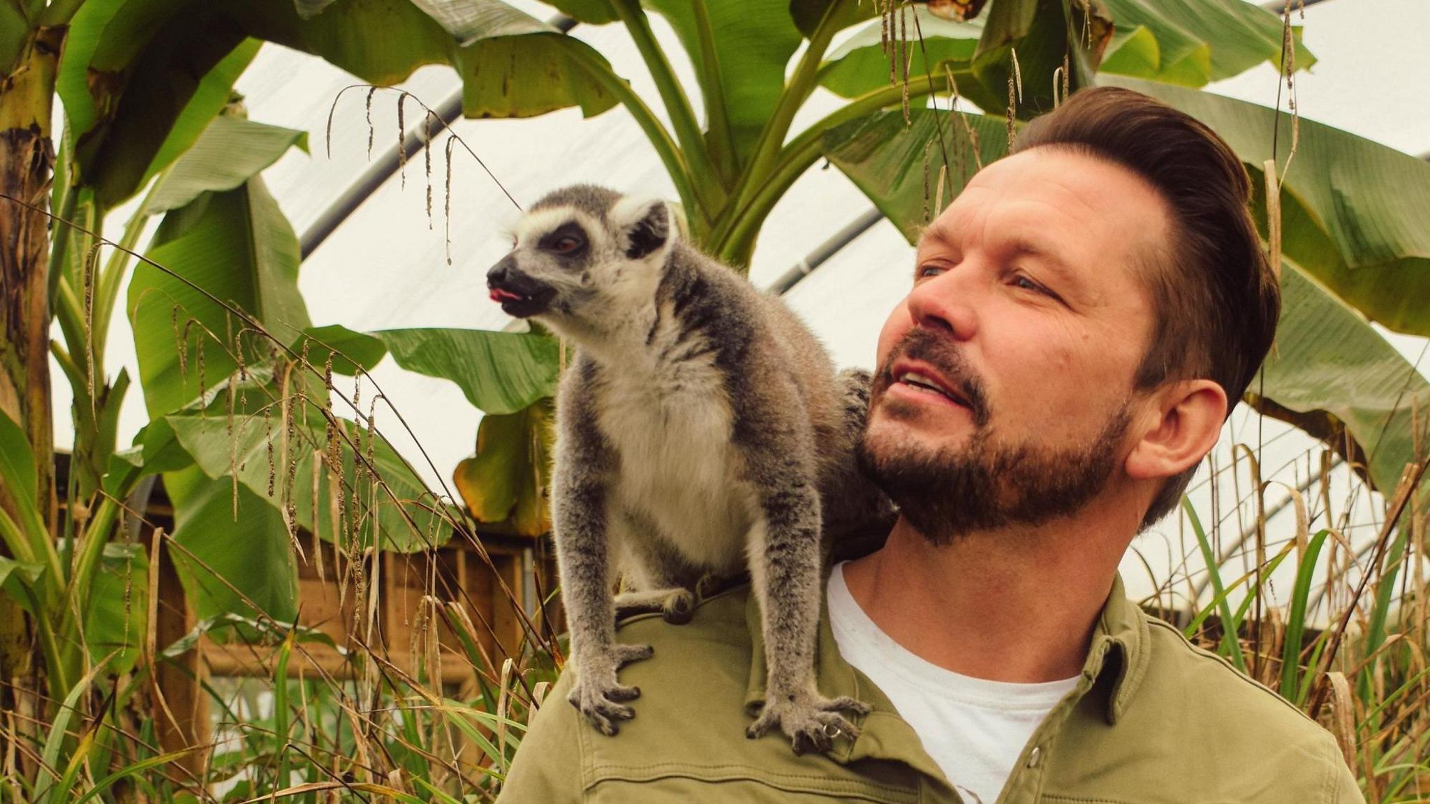 A picture of Jimmy Doherty with a lemur sitting on his shoulder. He is looking at the animal while they stand inside a conservatory-like animal pen filled with green plants. 