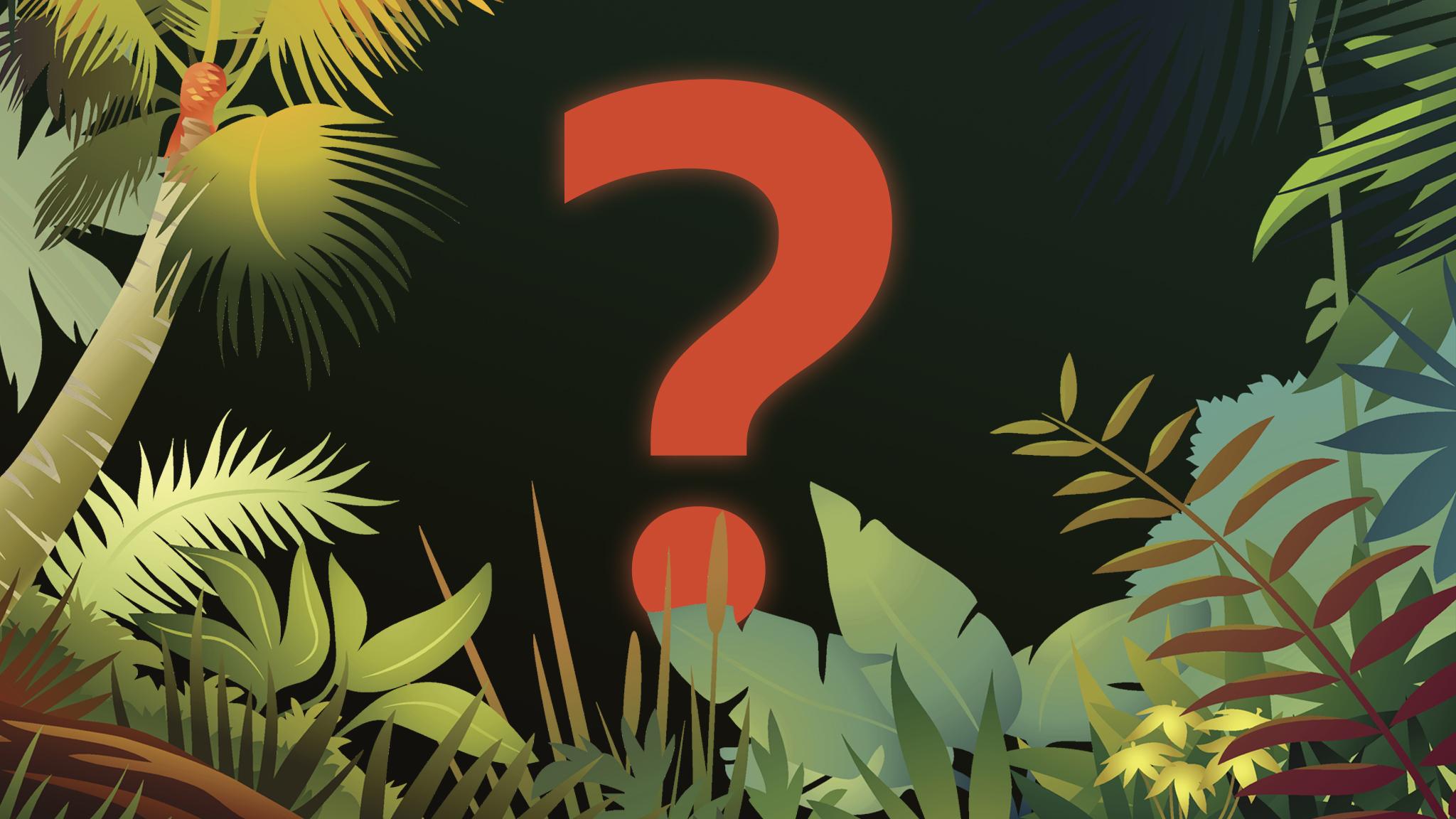 question mark behind jungle illustration