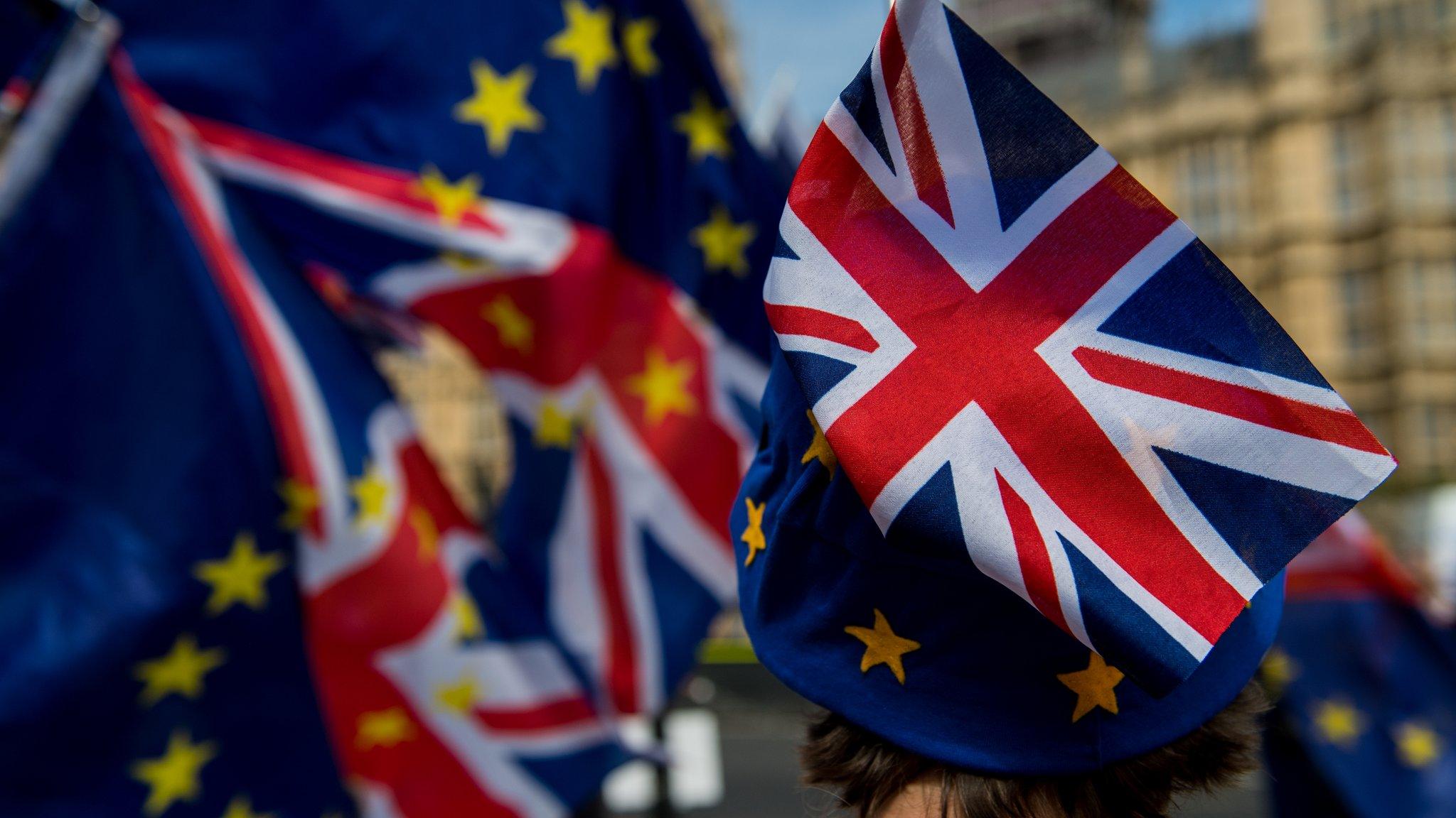 Brexit protesters at Westminster