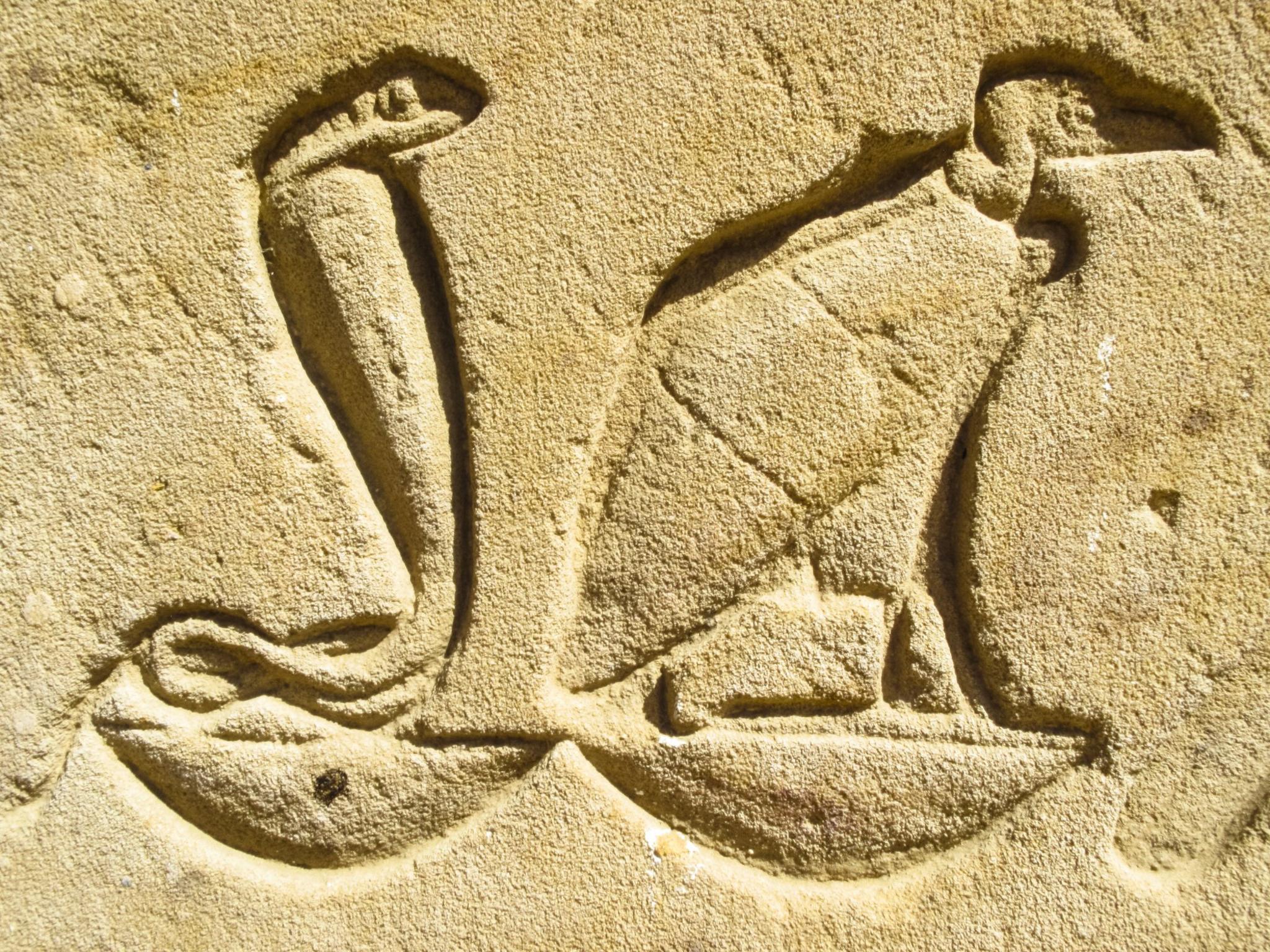 Vulture hieroglyph at at Temple of Edfu in Edfu, Egypt