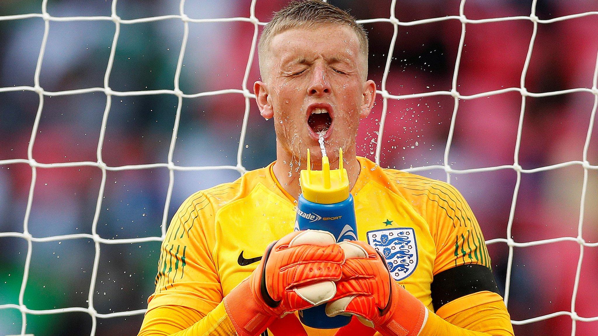 Goalkeeper Jordan Pickford