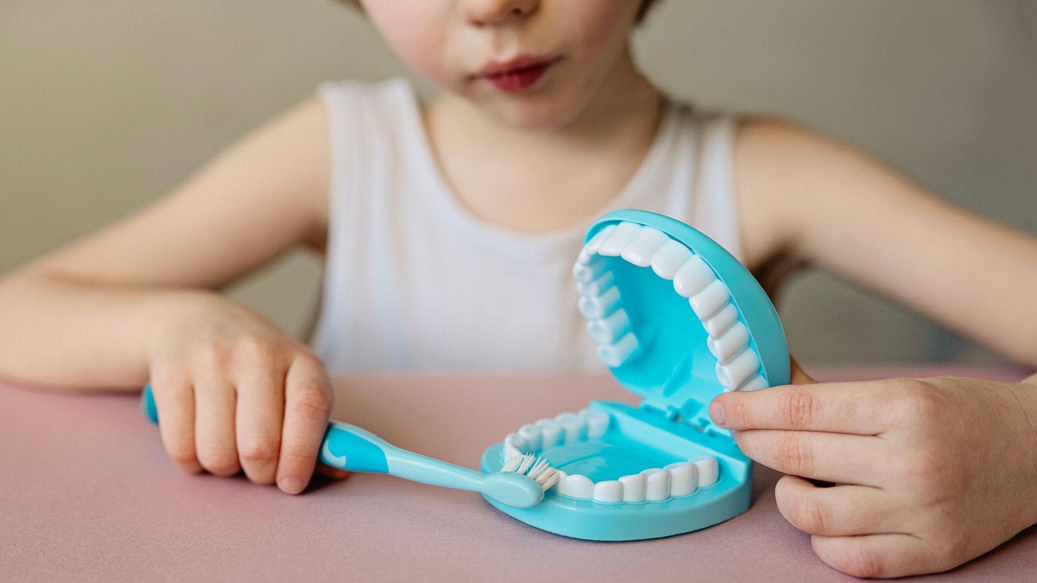 Child using brush to clean a set of blue plastic teeth