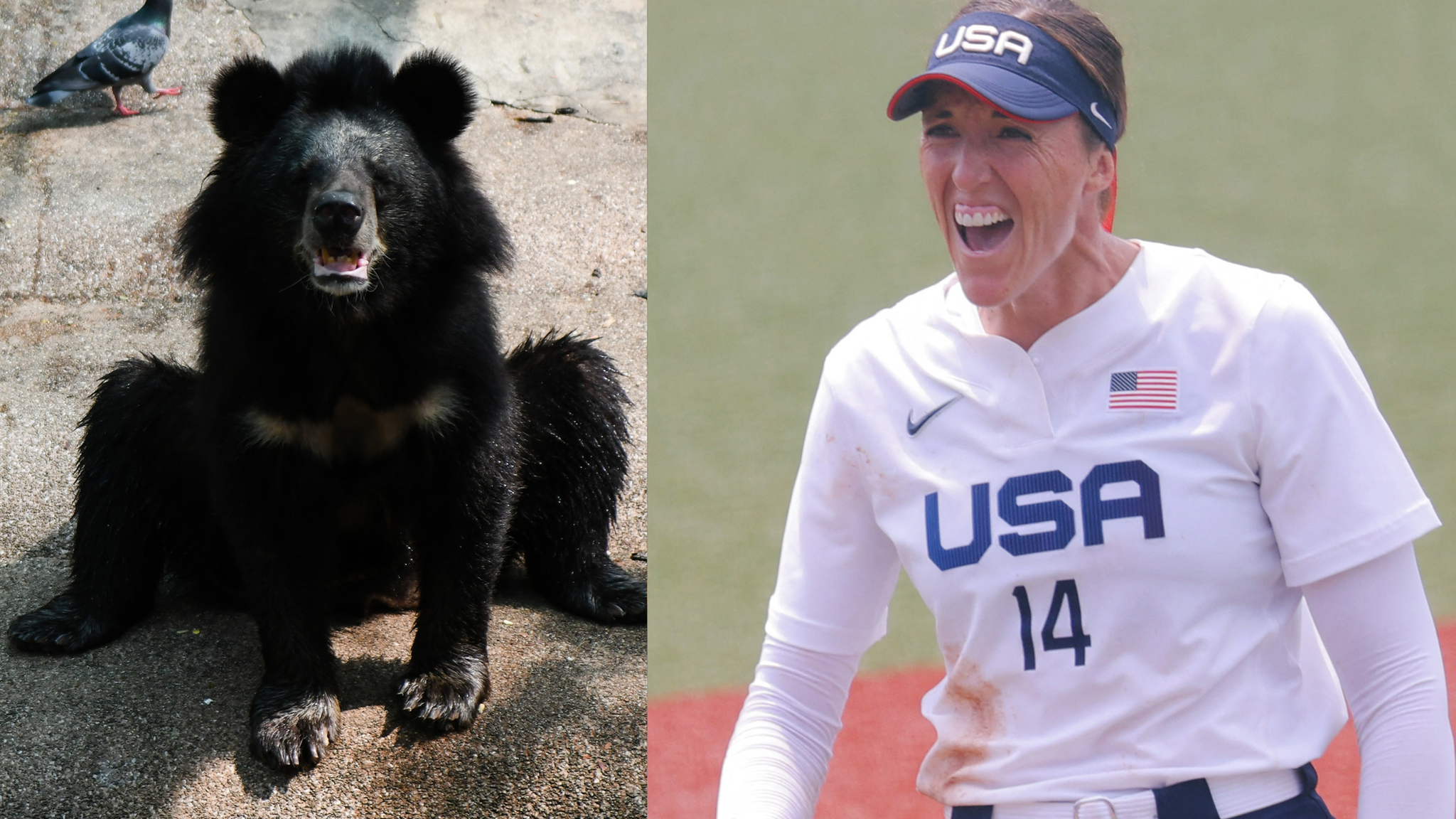 Black bear and Monica Abbott