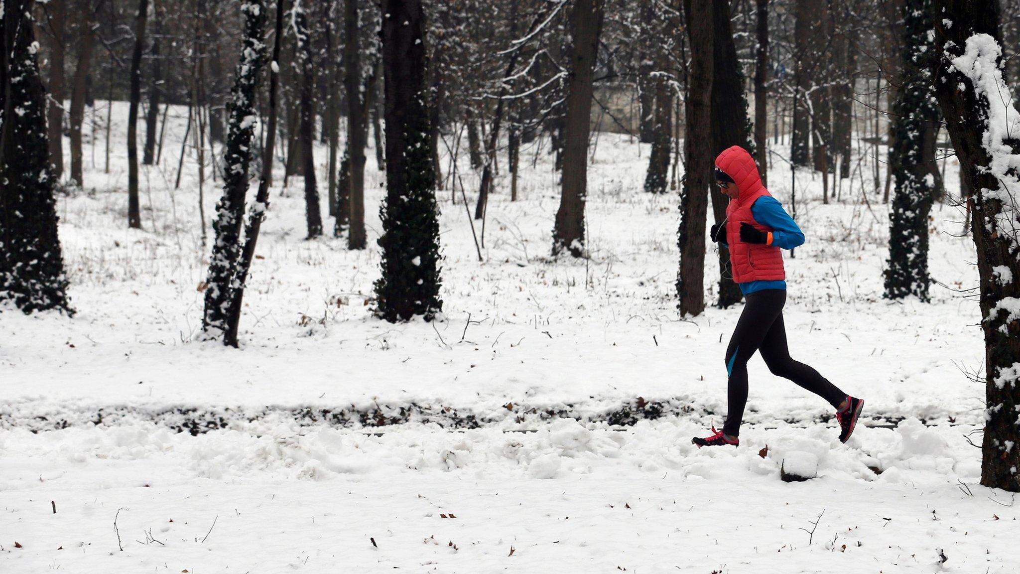 Snow in Serbia (file image from 3 January 2017)