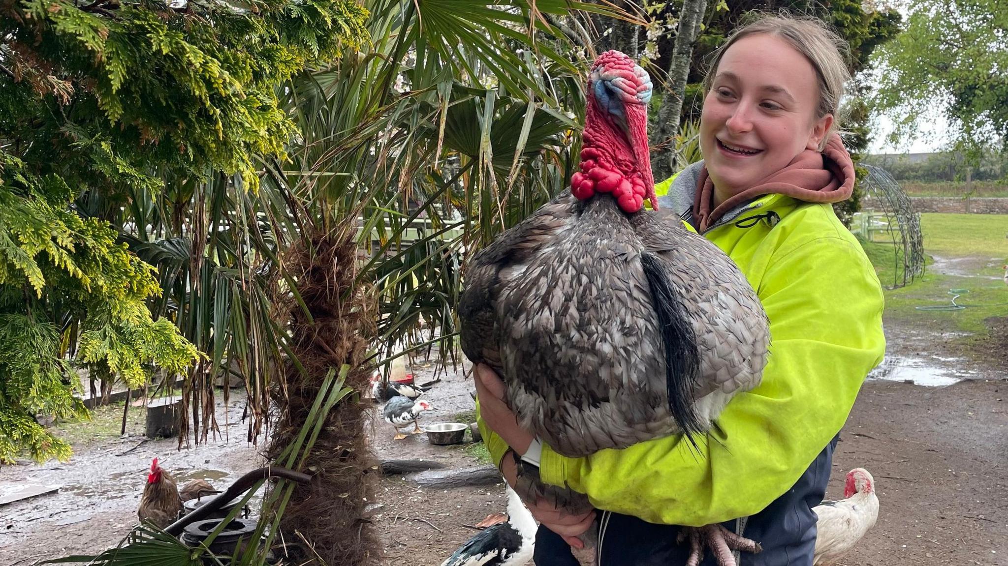 Serena Dorey is laughing as she holds a large turkey in her arms in a yard. There are chickens around the yard near water bowls. There is a palm and other mature trees in the yard.