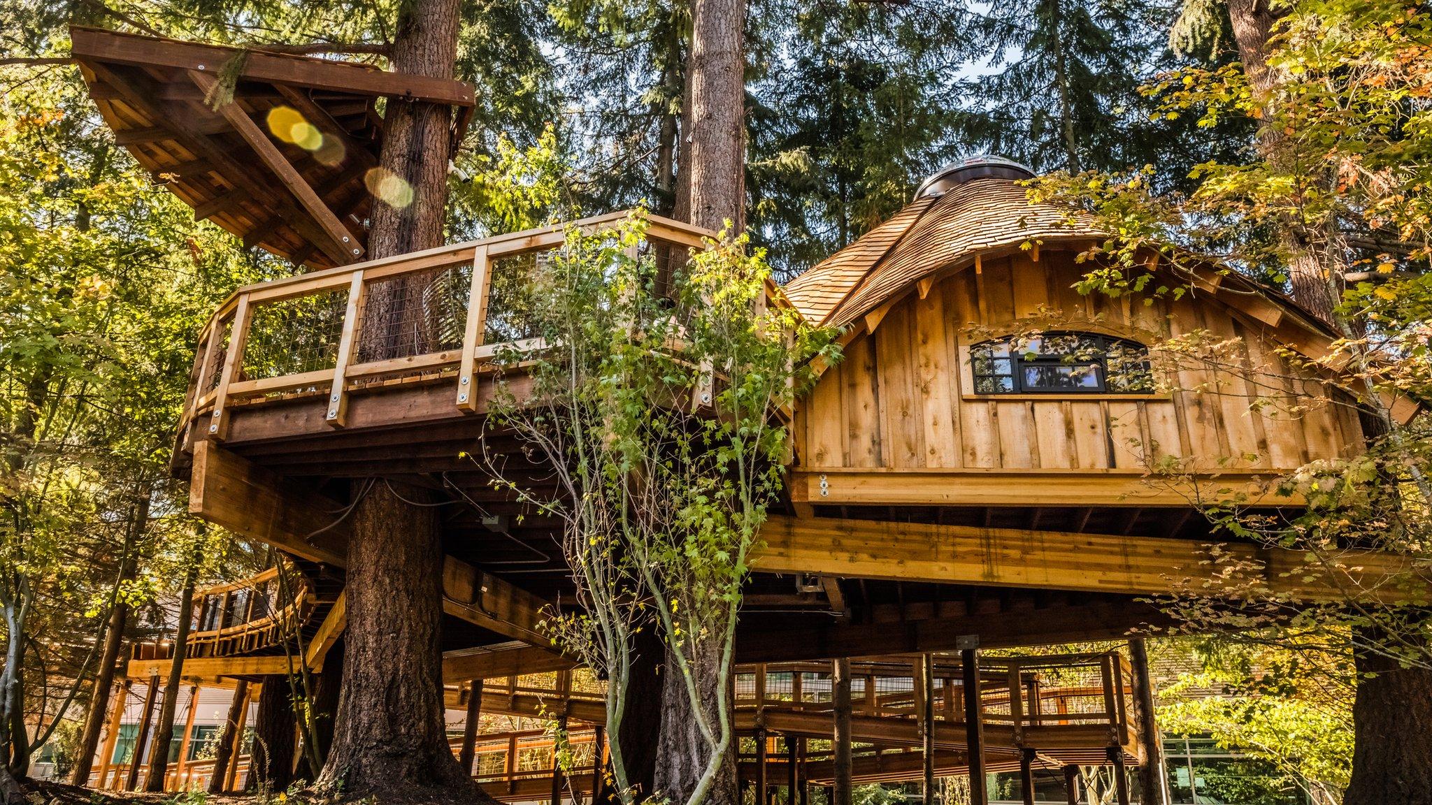 Treehouse